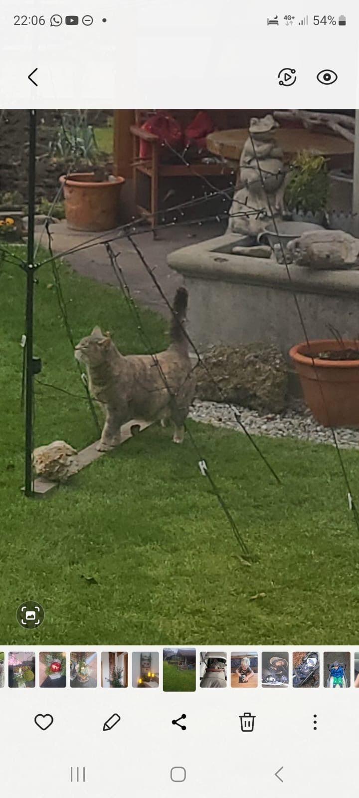 Honey-Lou - Raiffeisenstraße, Sulz