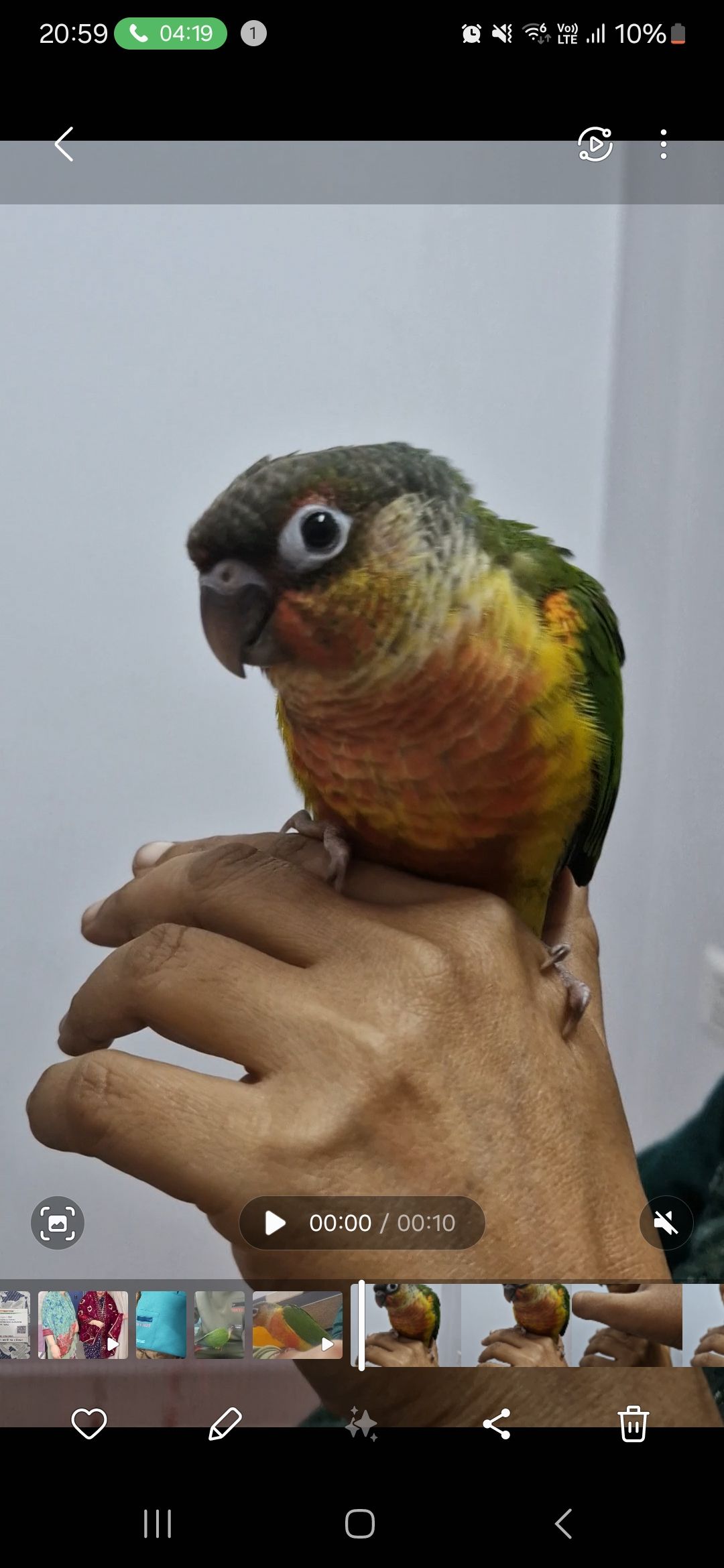 Chloe - Woodland Street, Bakshi Ka Talab