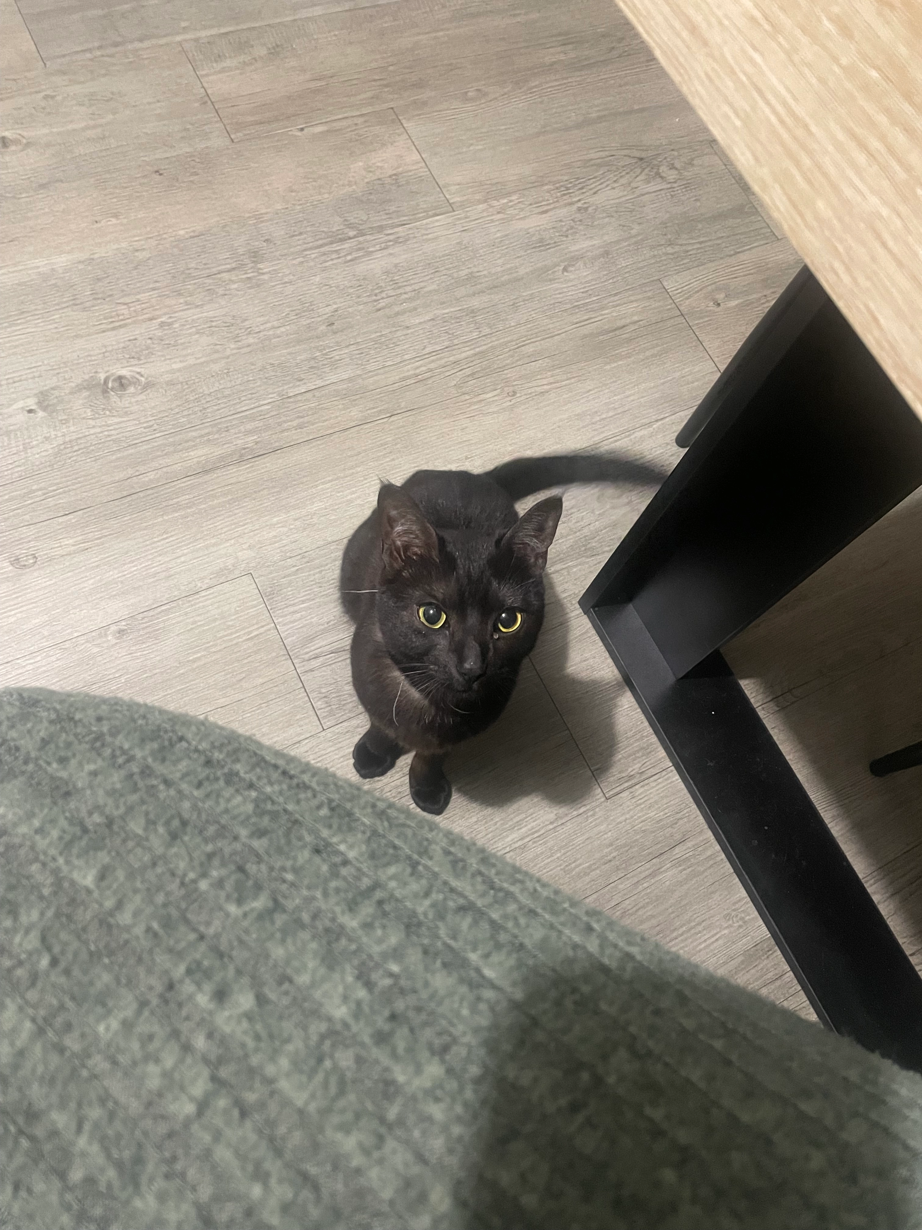 Nala - Avenue Charles De Gaulle, Louvres