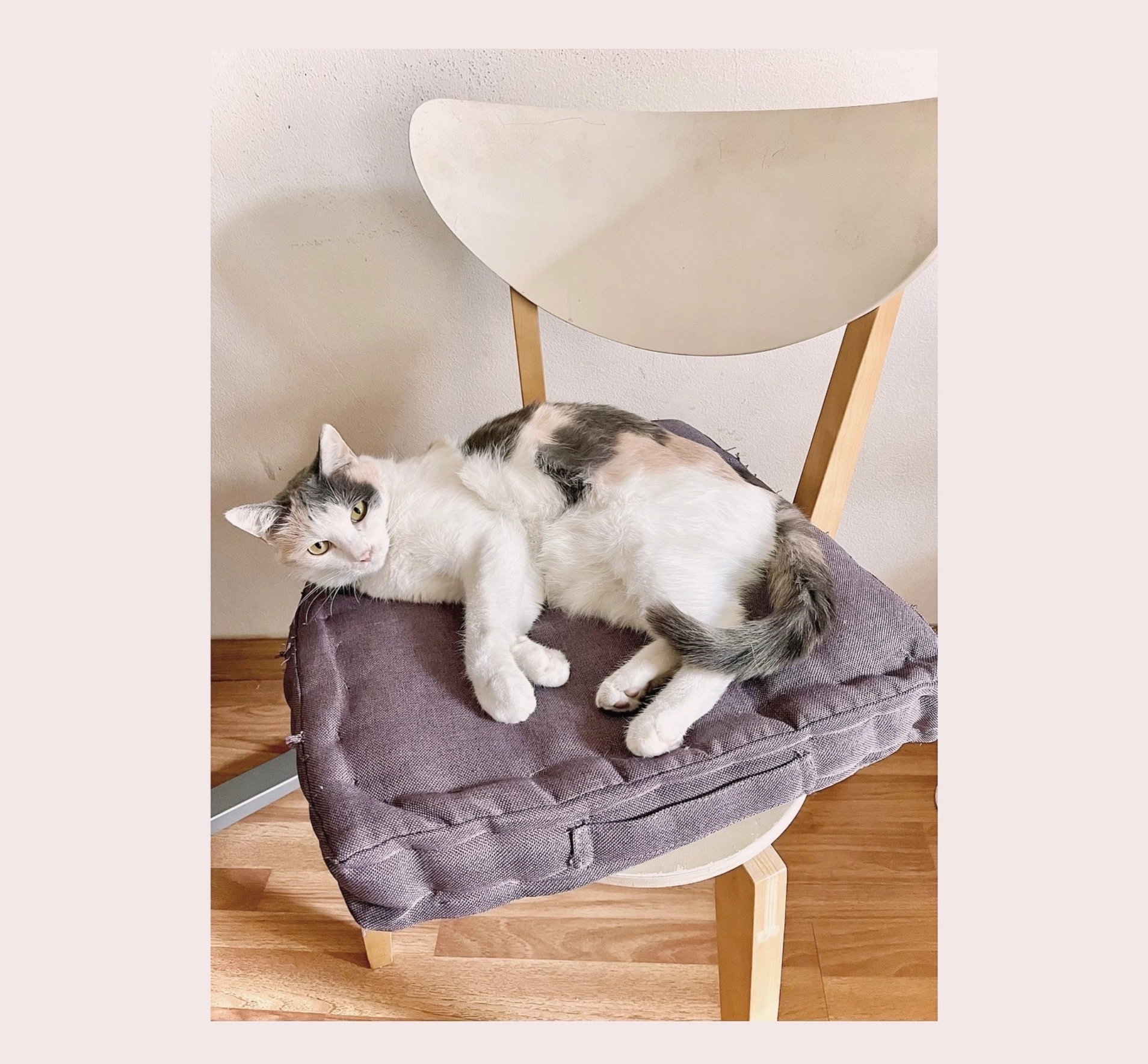 พี่สาว Pi Sao - ซอยโพธิ์แก้ว 3 แยก 3, เขตบางกะปิ