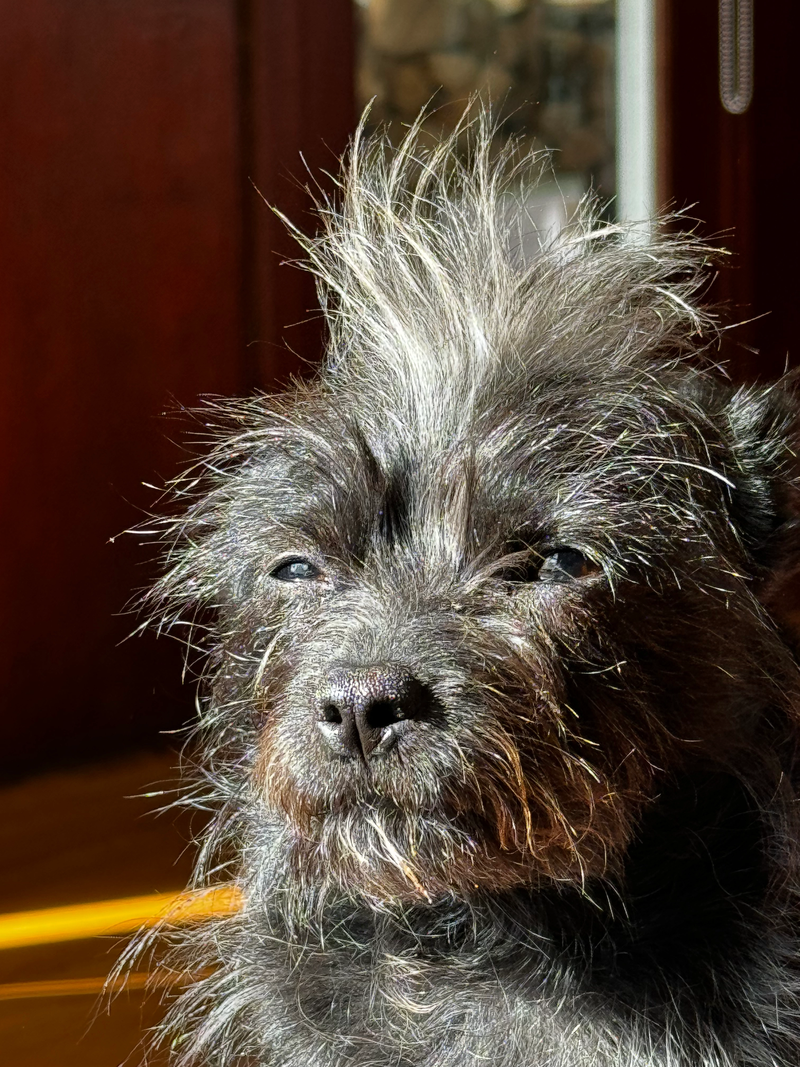 Pickles - Rue Bonaparte, Paris