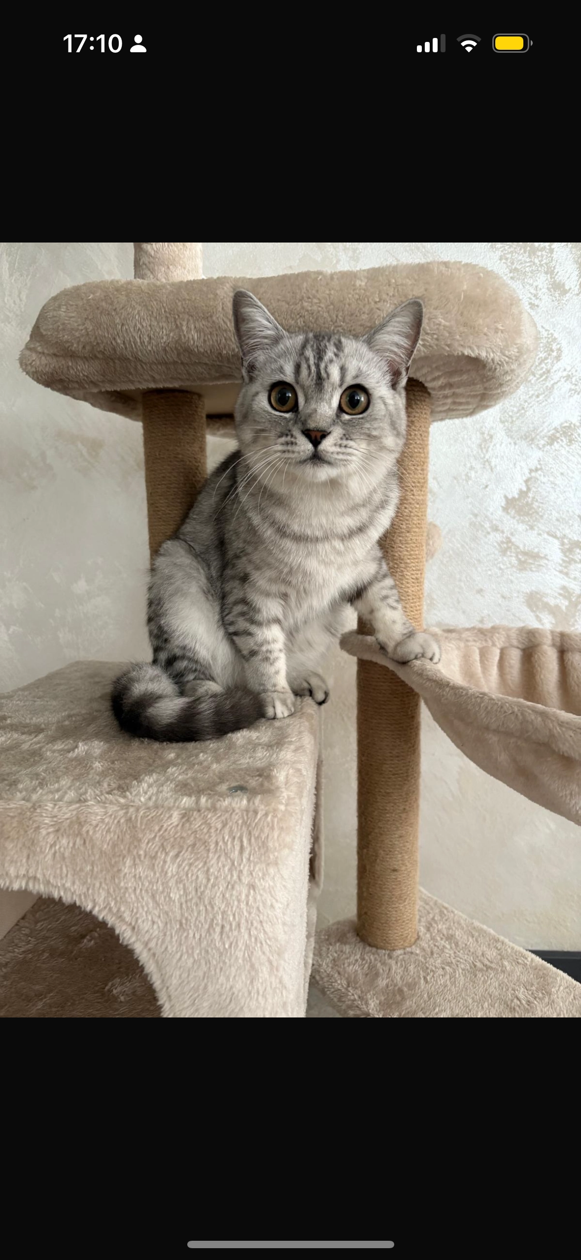 Bounty - Oststeinbeker Weg, Hamburg