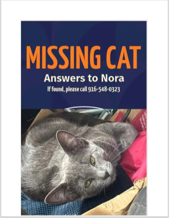 Nora - 3054 Sparrow Dr, Sacramento