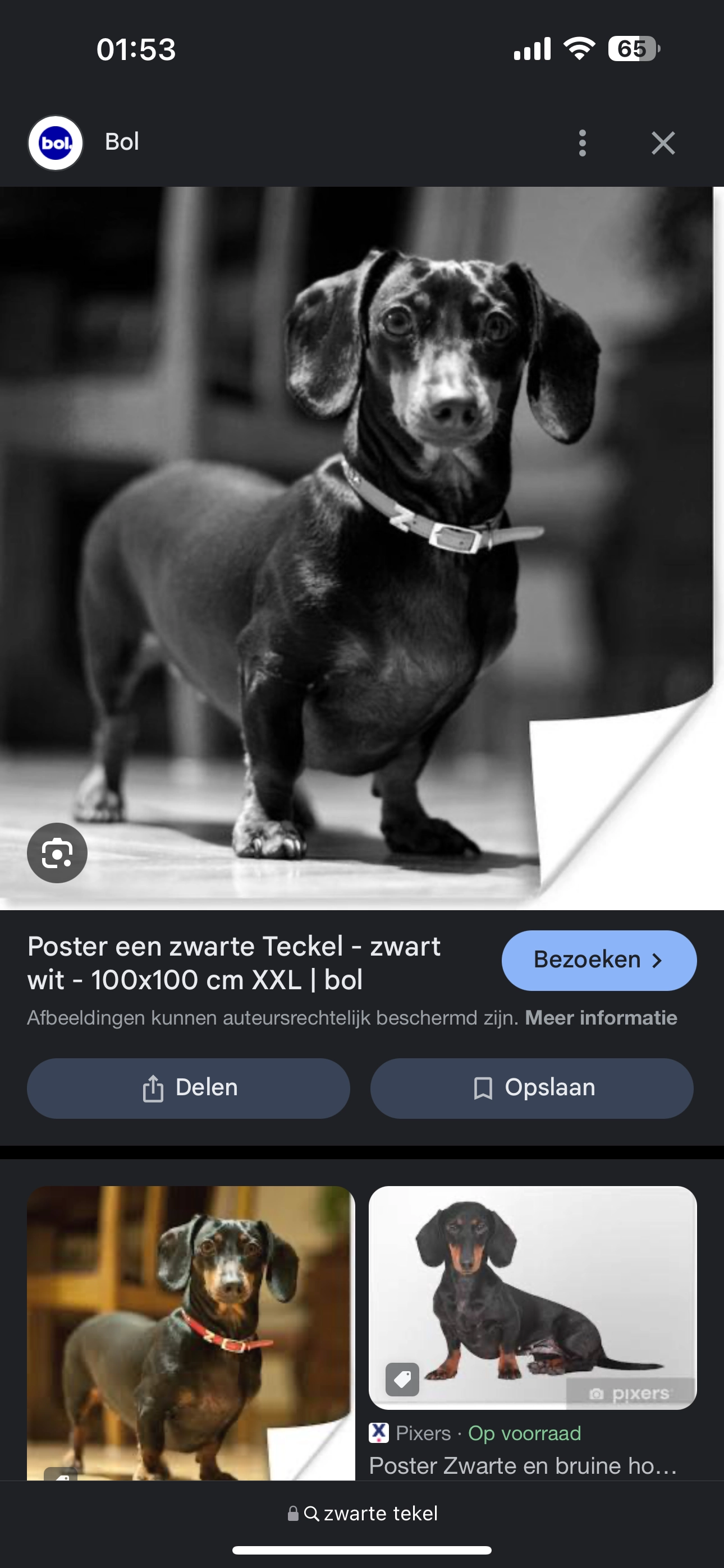 Het is niet mijn hondje  - Broekzijde, Turnhout