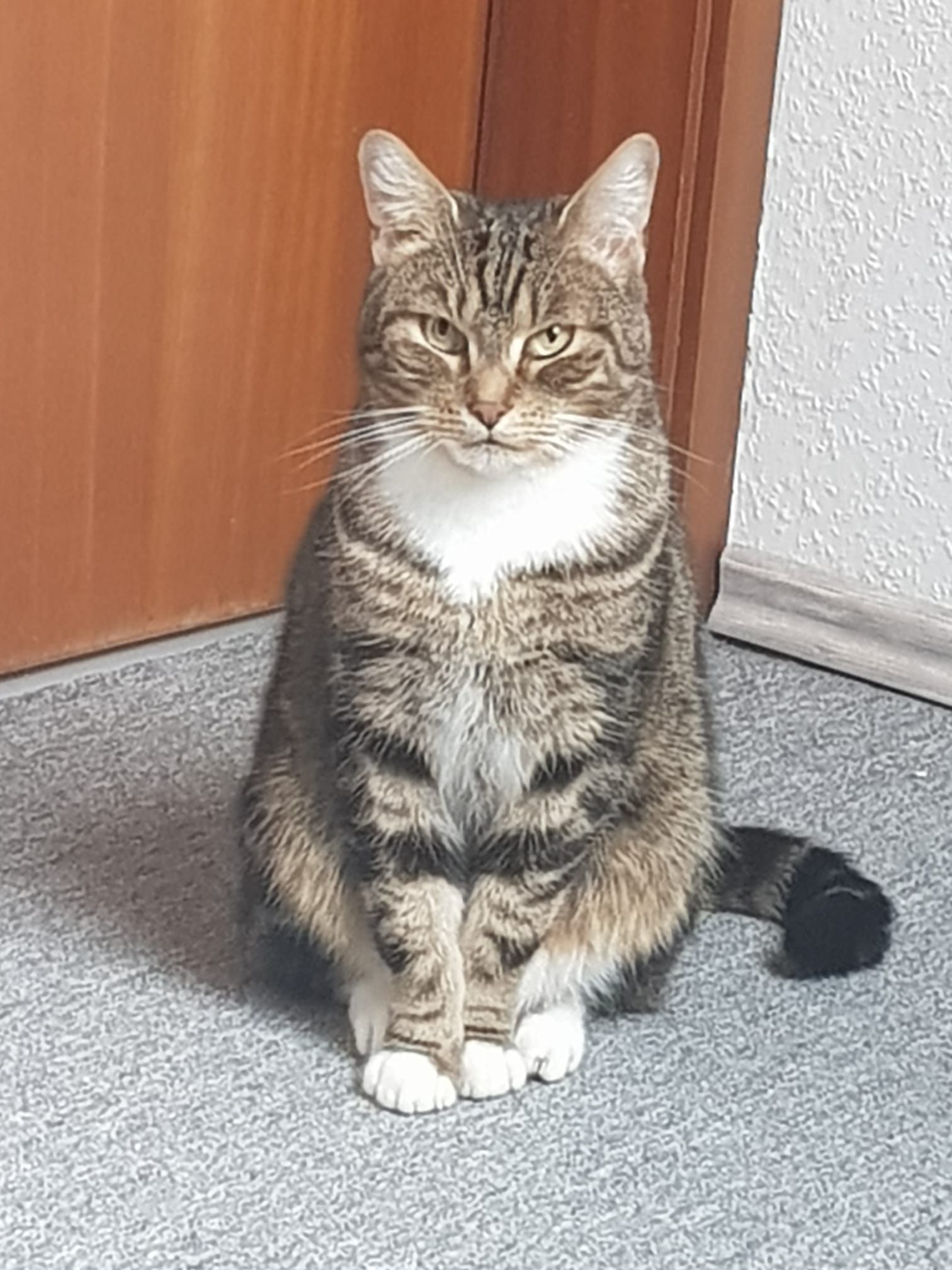 Kasper - Lüdingworther Straße, Cuxhaven