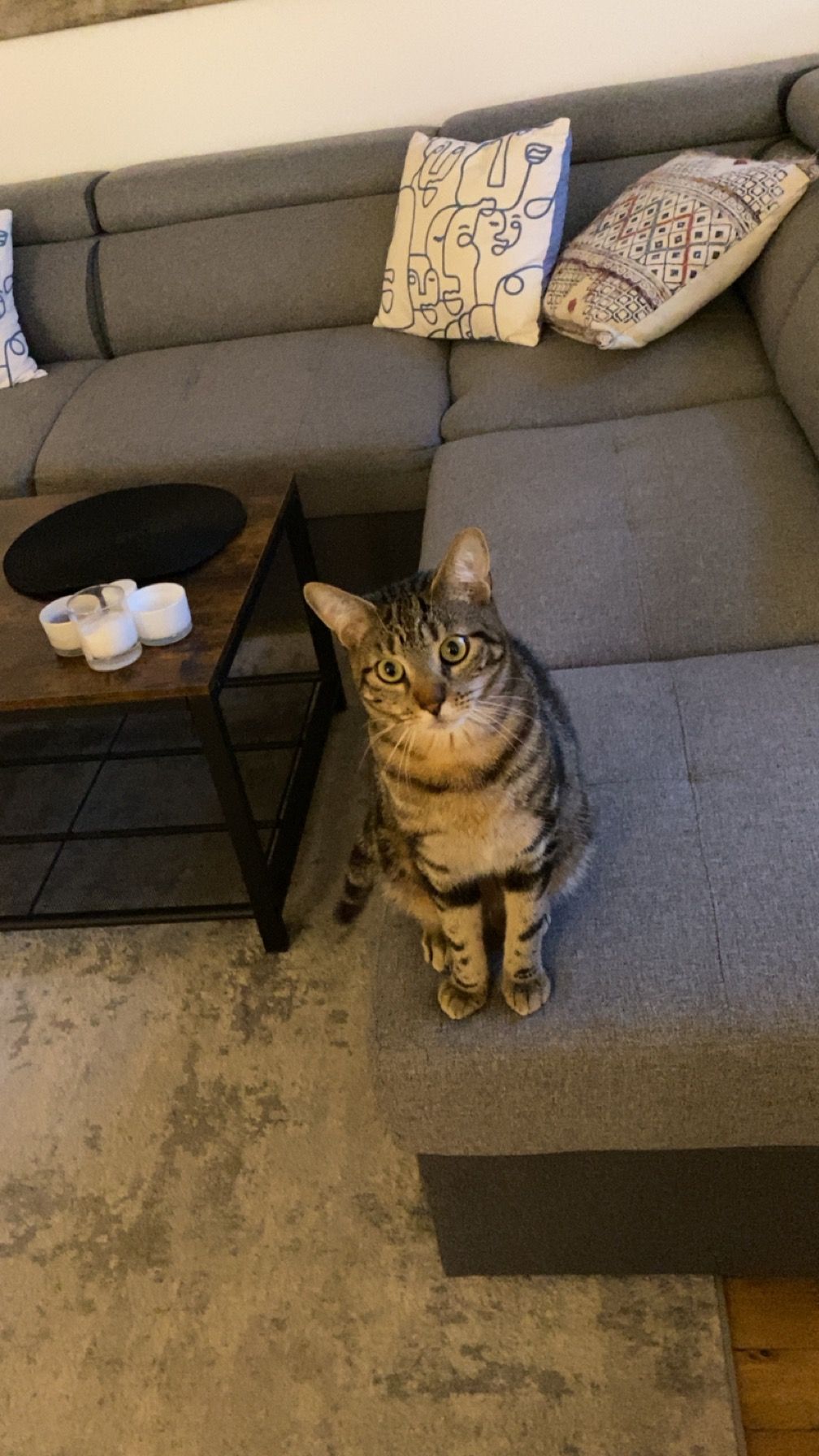 Tiger - Rue Democrite, El Maarif