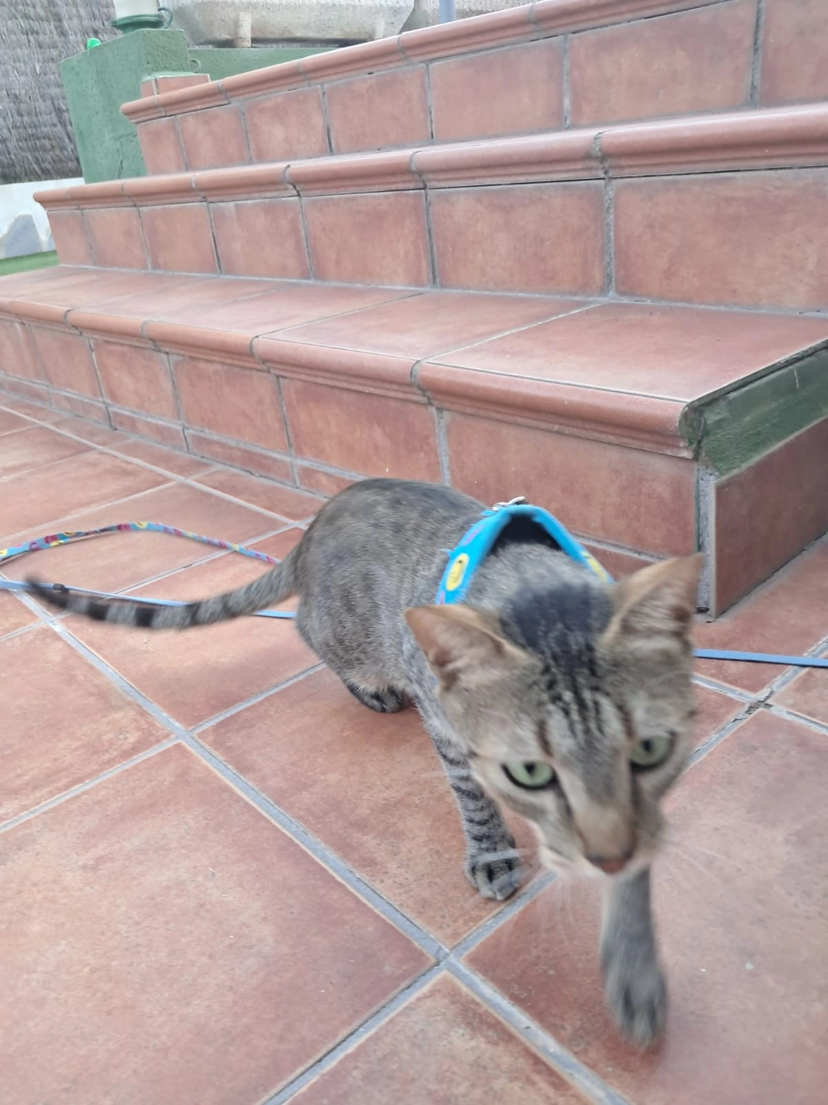 Lufi - Calle Saturno, Pozuelo de Alarcón