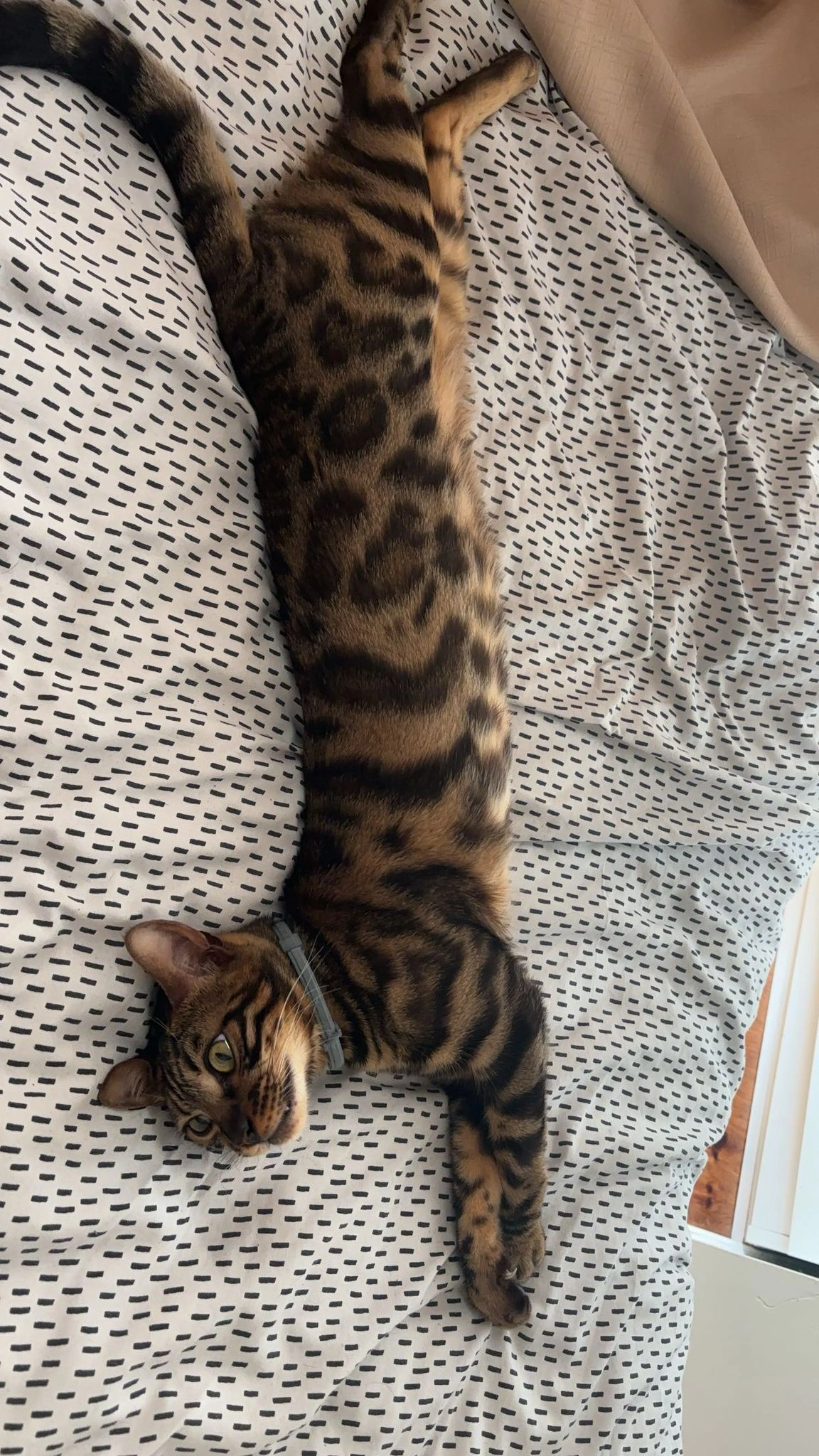 Urban - Les Belles Portes, Hérouville-Saint-Clair