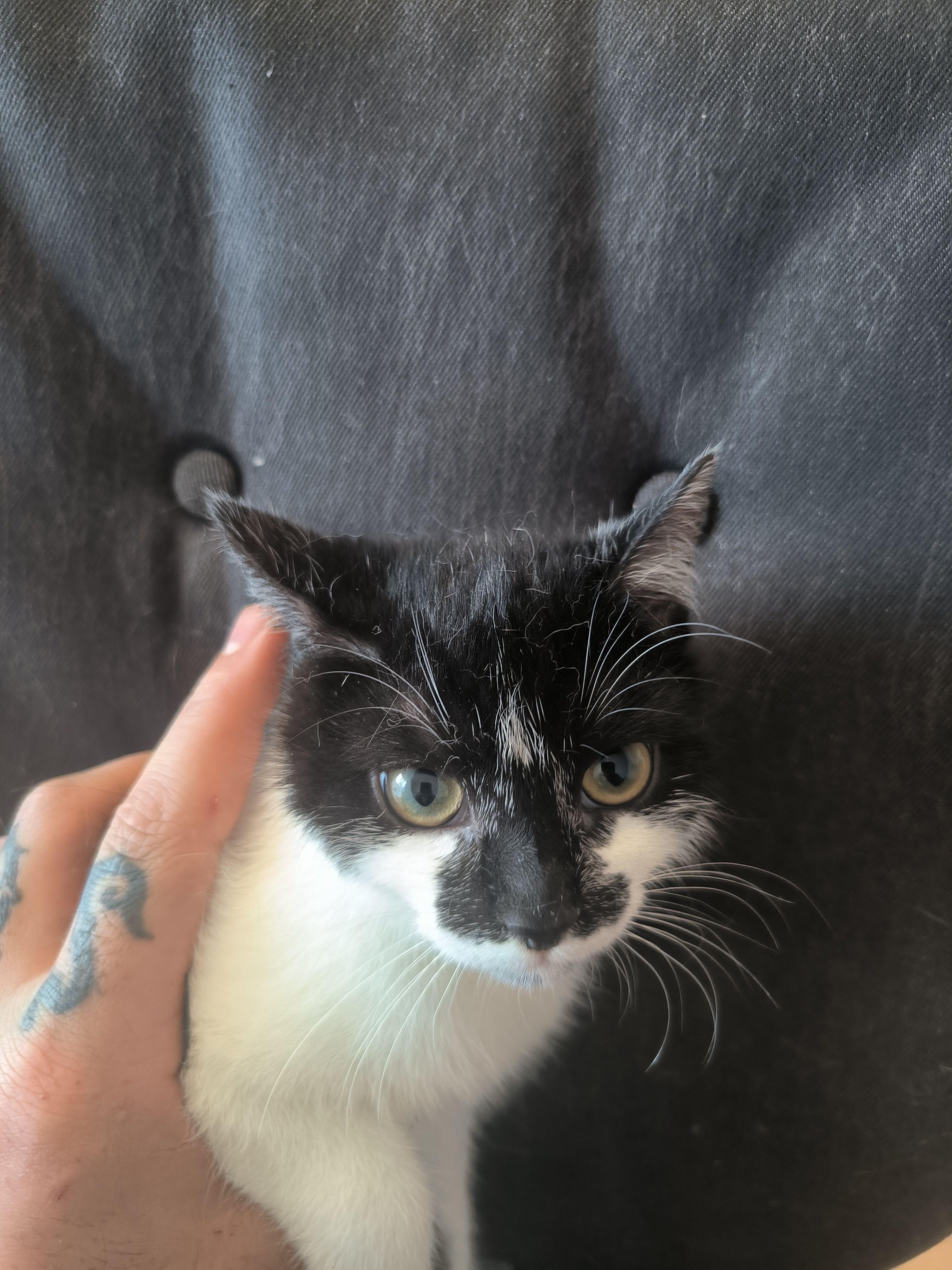 Yasi - Neuer Friedberg, Suhl