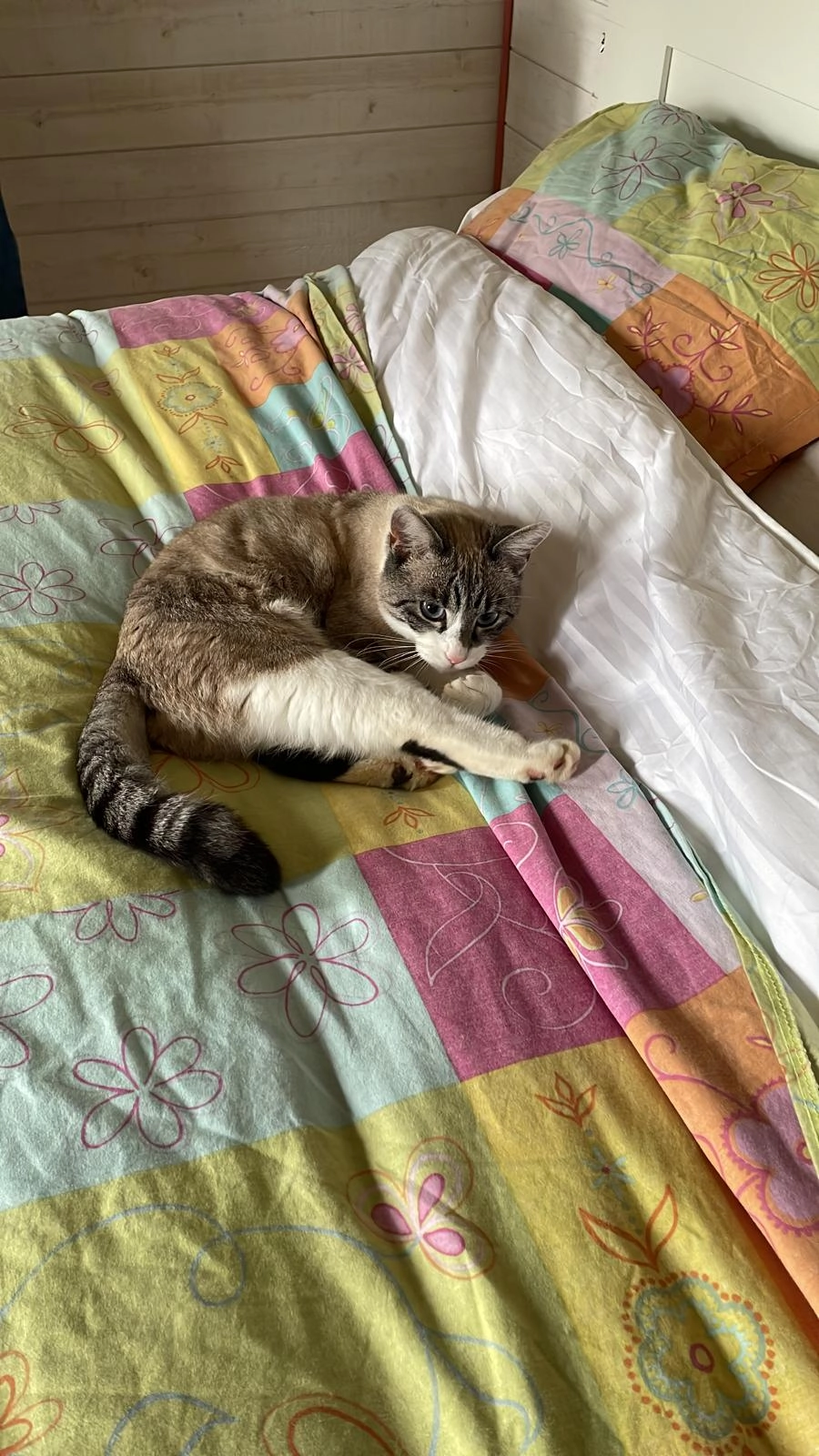 Jonnie - 38 Rue de Frotey, Montcey