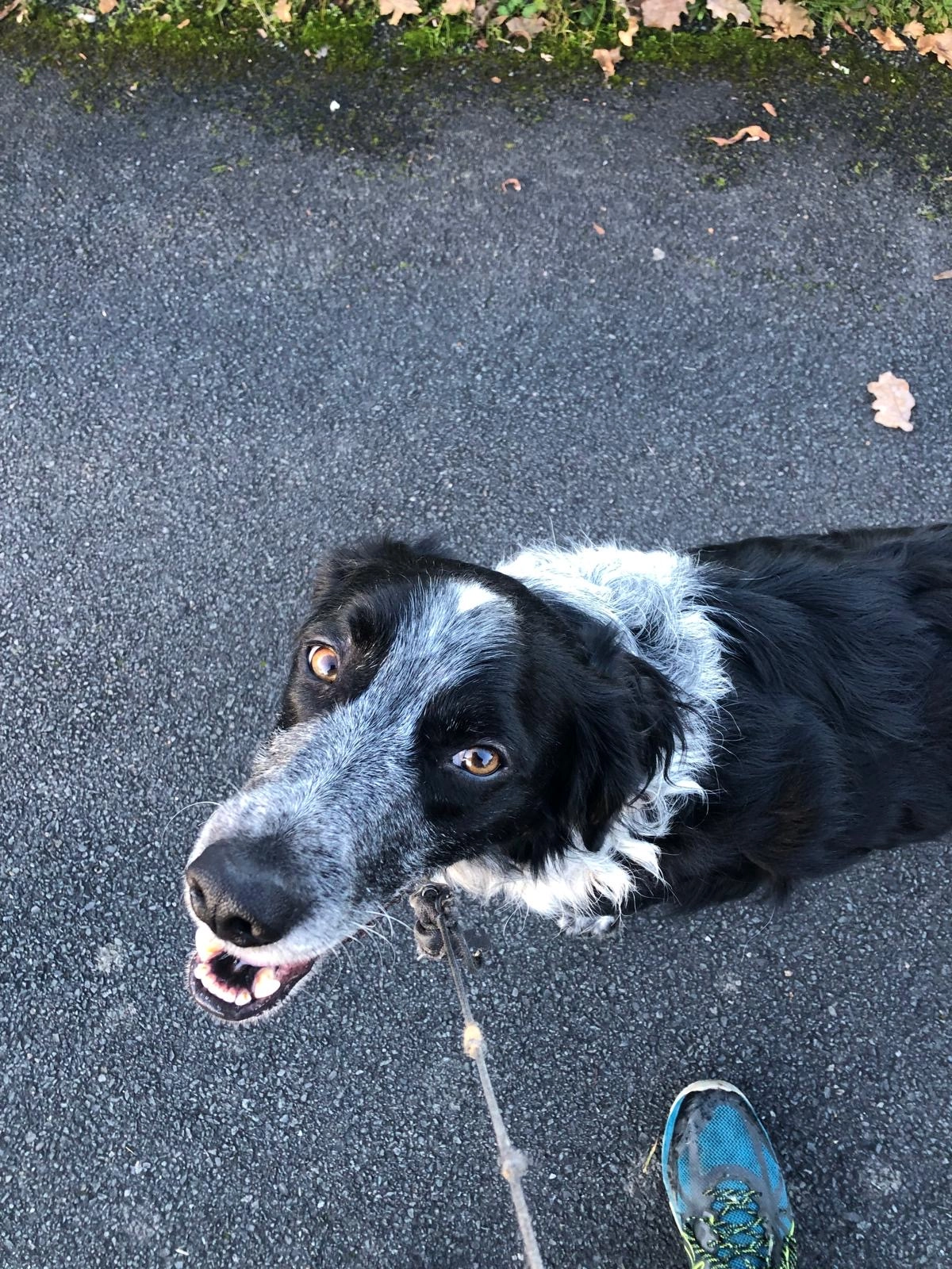 Samy - Promenade du Canal, Périgueux