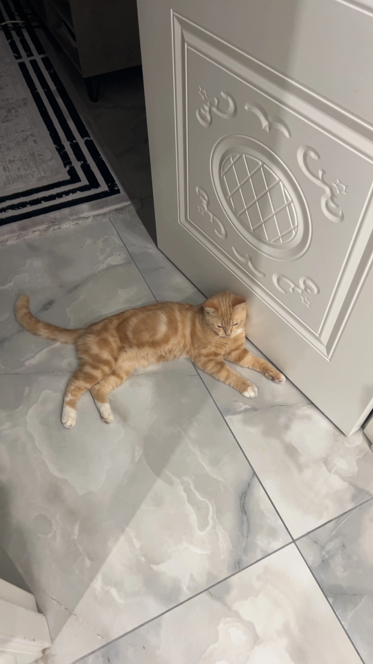 Pasha - Rue Jean-Philippe Rameau, Monts