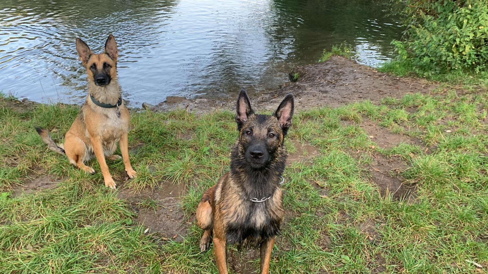 Lord - Nichtenhofstraat, Nieuwaal