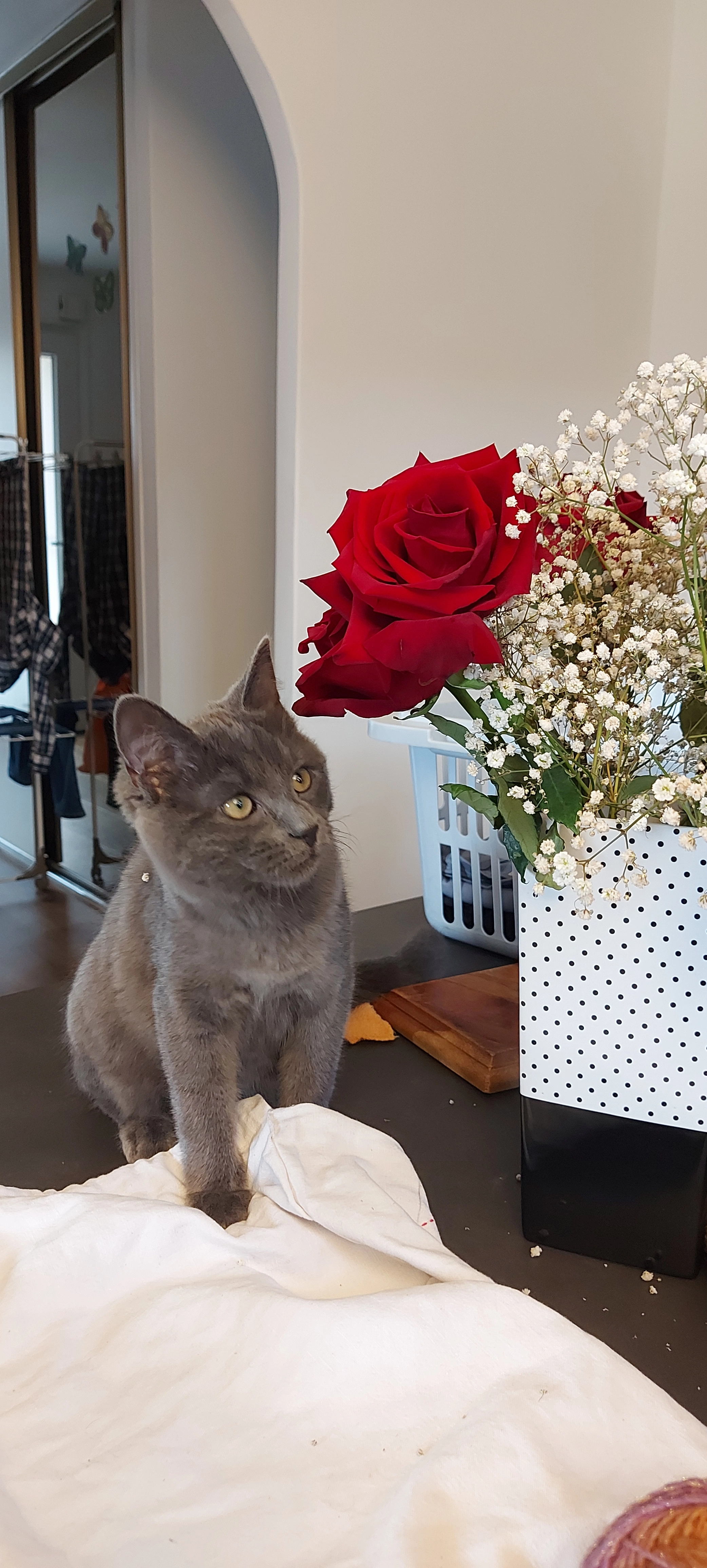 Gribouillis  - 6B Grande Rue, Dung