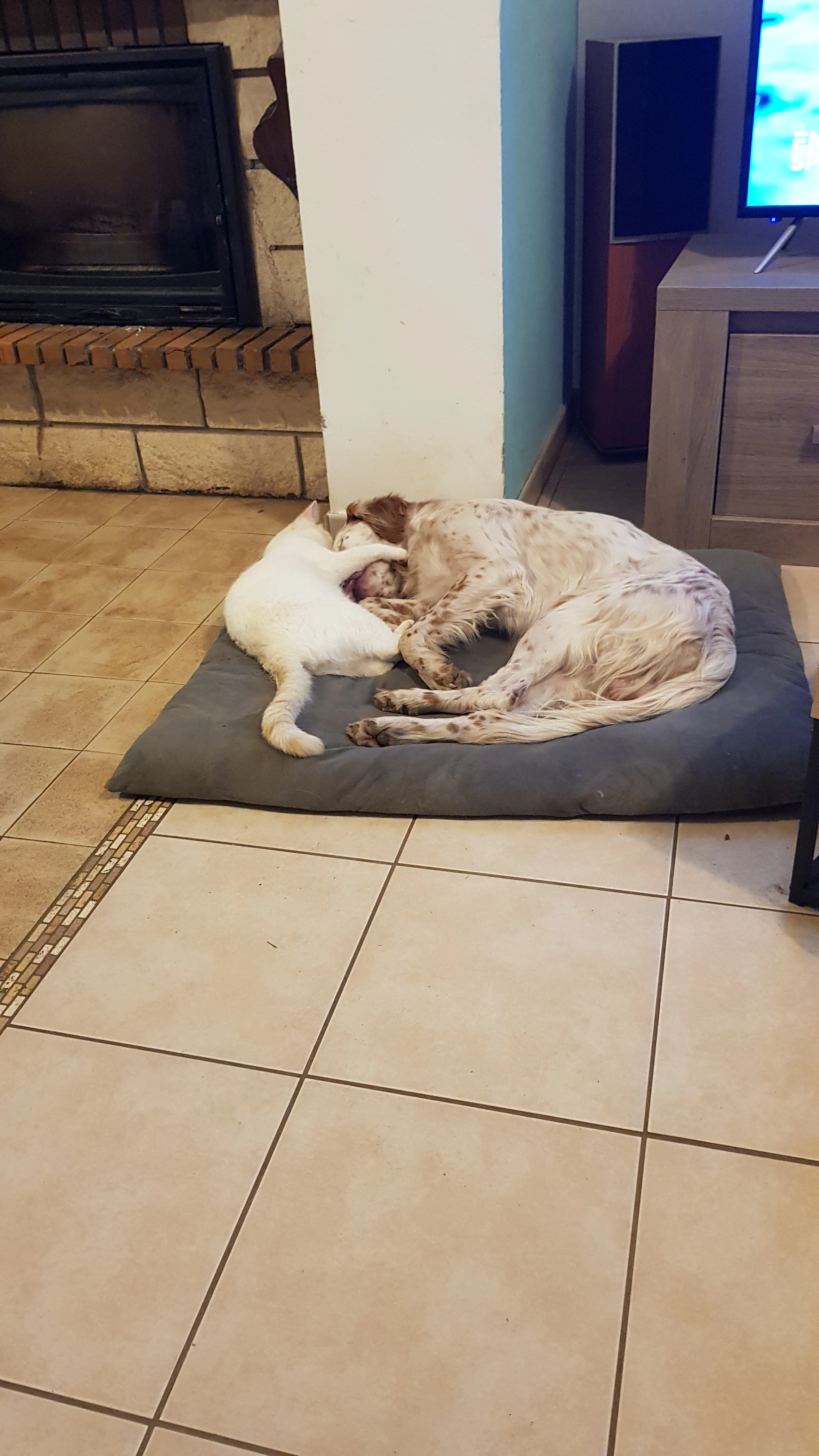 Walker  - 6 Route de Luçon, Saint-Vincent-sur-Graon