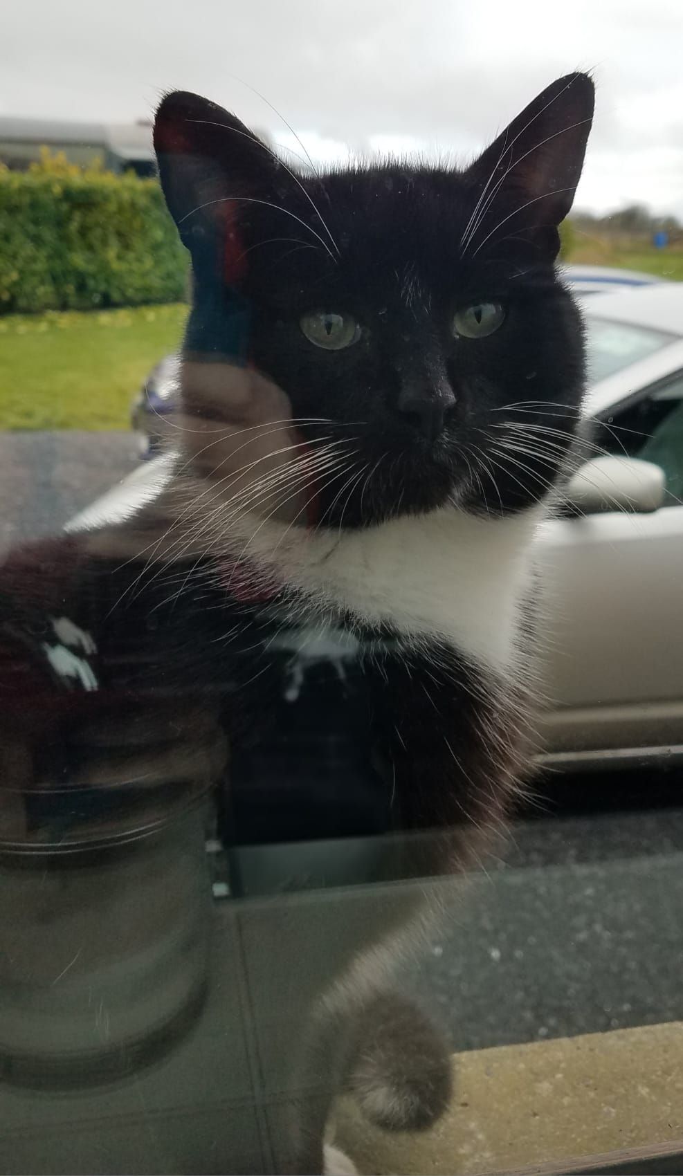 Pompy - N84, Headford