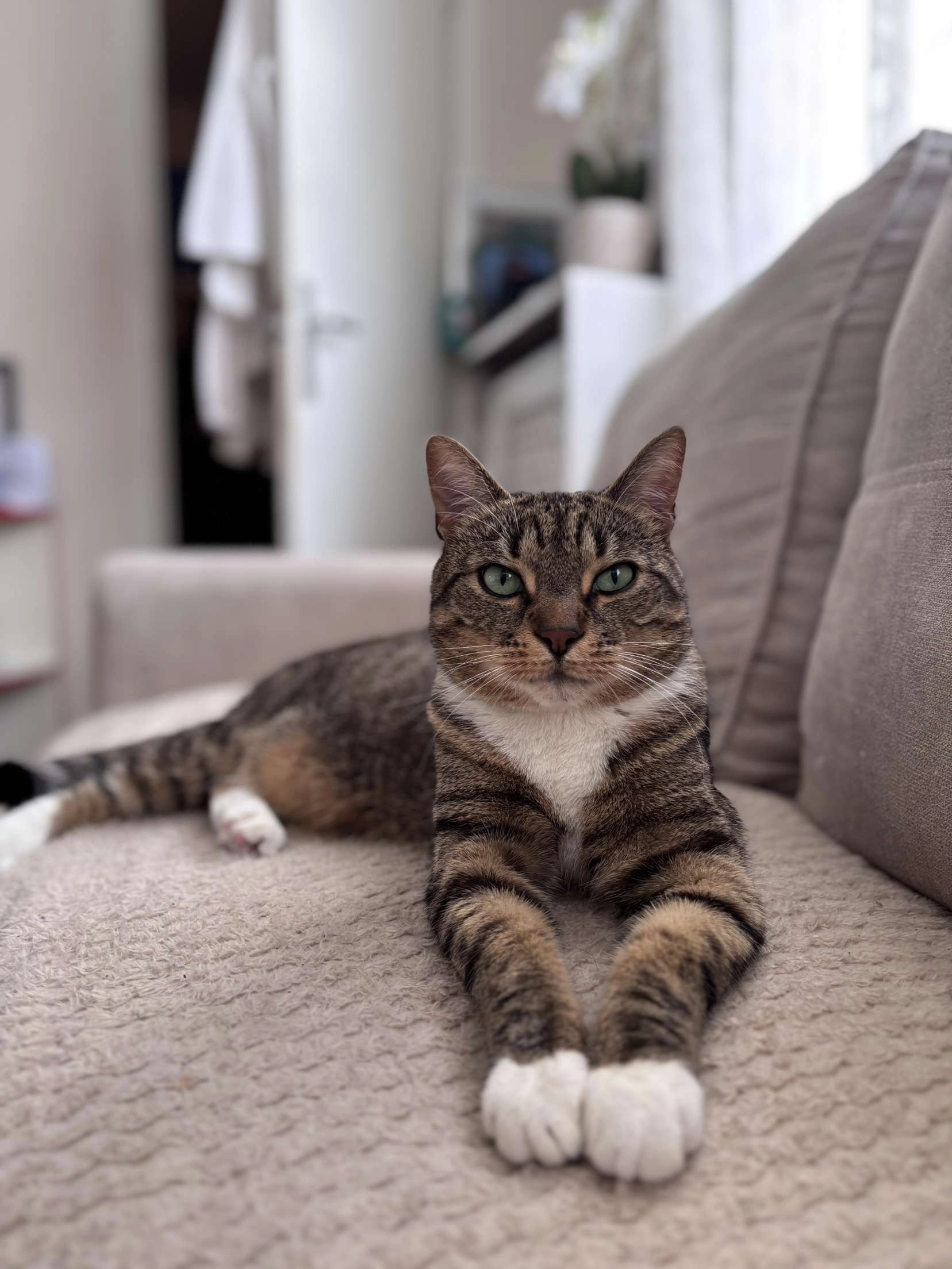 Gygy - 13 Square Jean Moulin, Champigny-sur-Marne