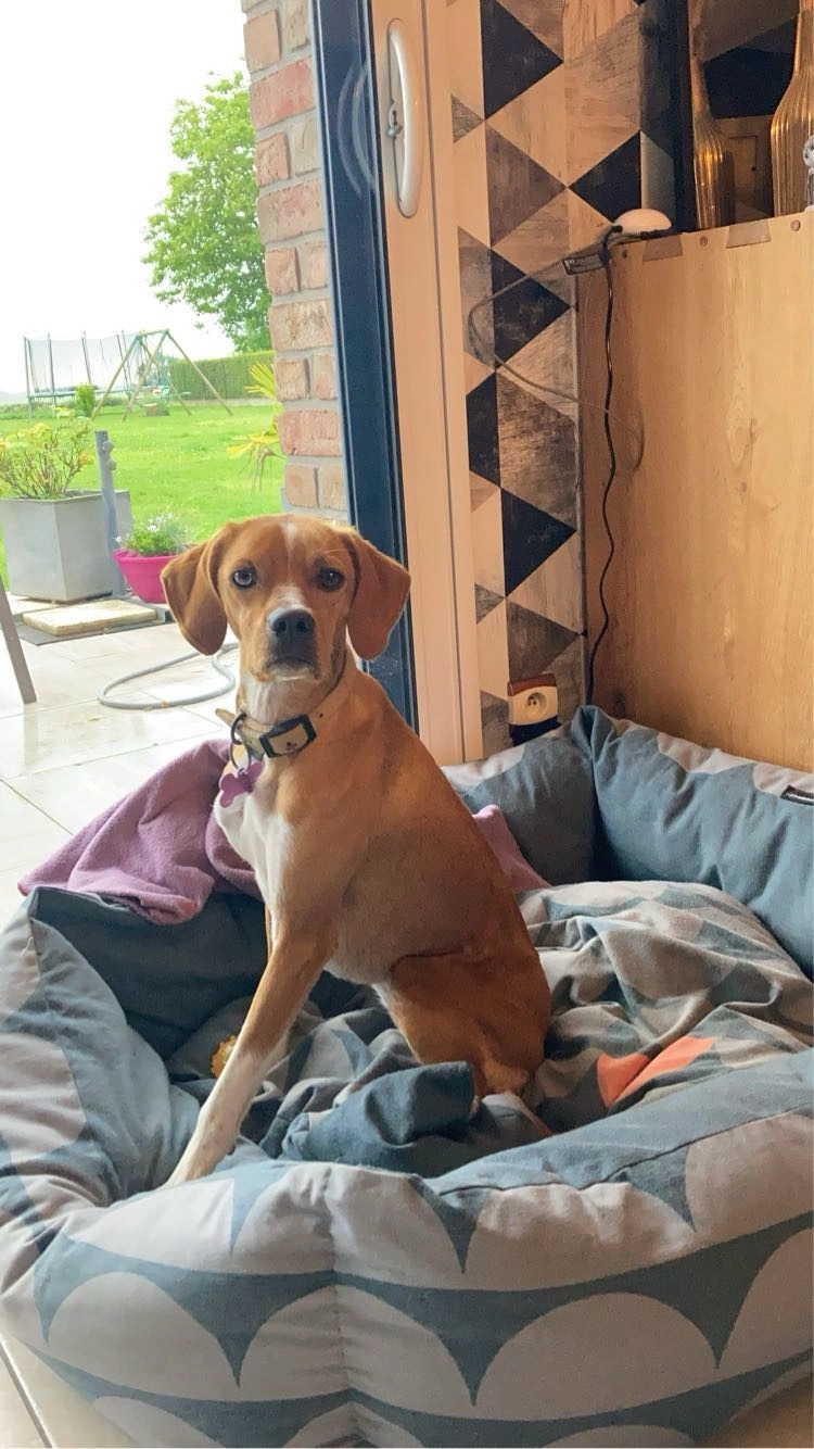 Ulka  - Rue Haute, Bailleul-aux-Cornailles