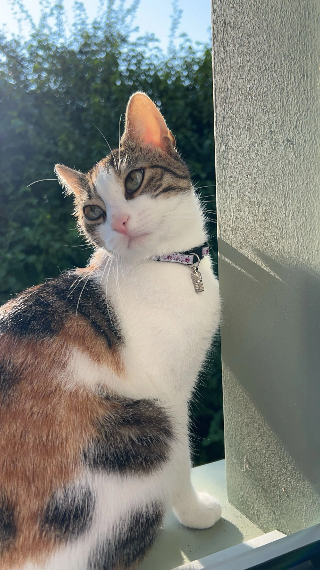 Toffee - Grienmattweg 22, Sissach