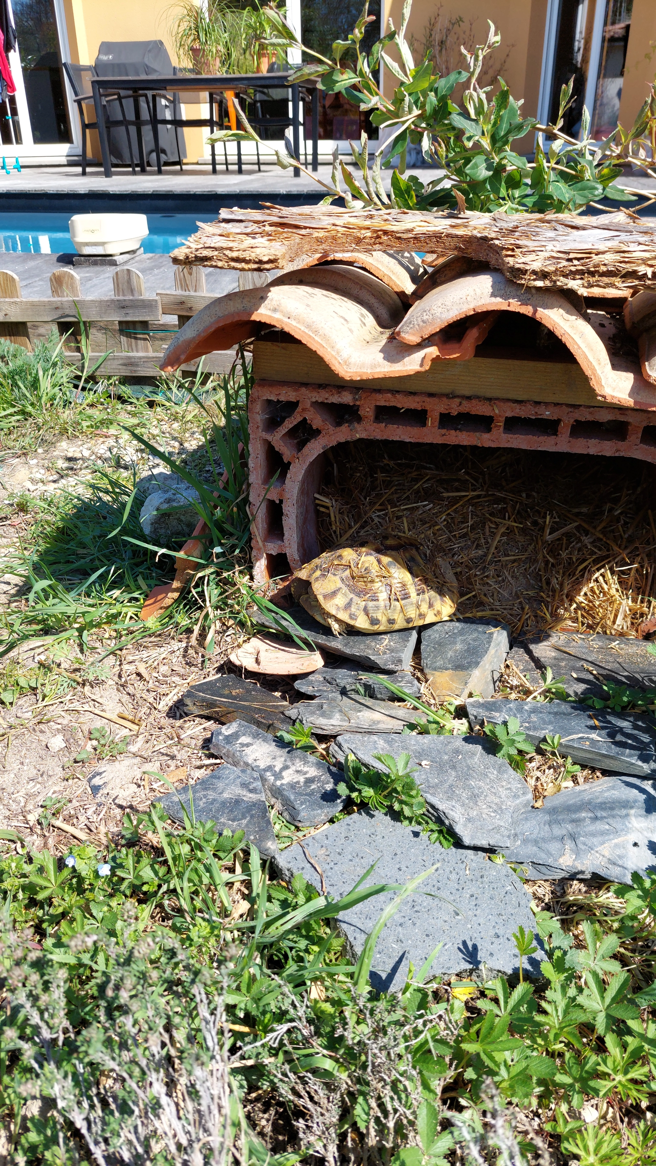 Apple - Chemin De Peyrarey, Yvrac