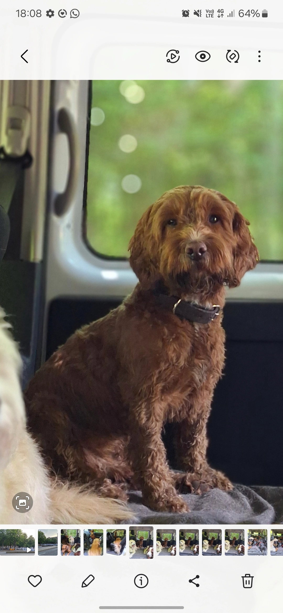Fred - Rue De La Forêt, Eisenborn