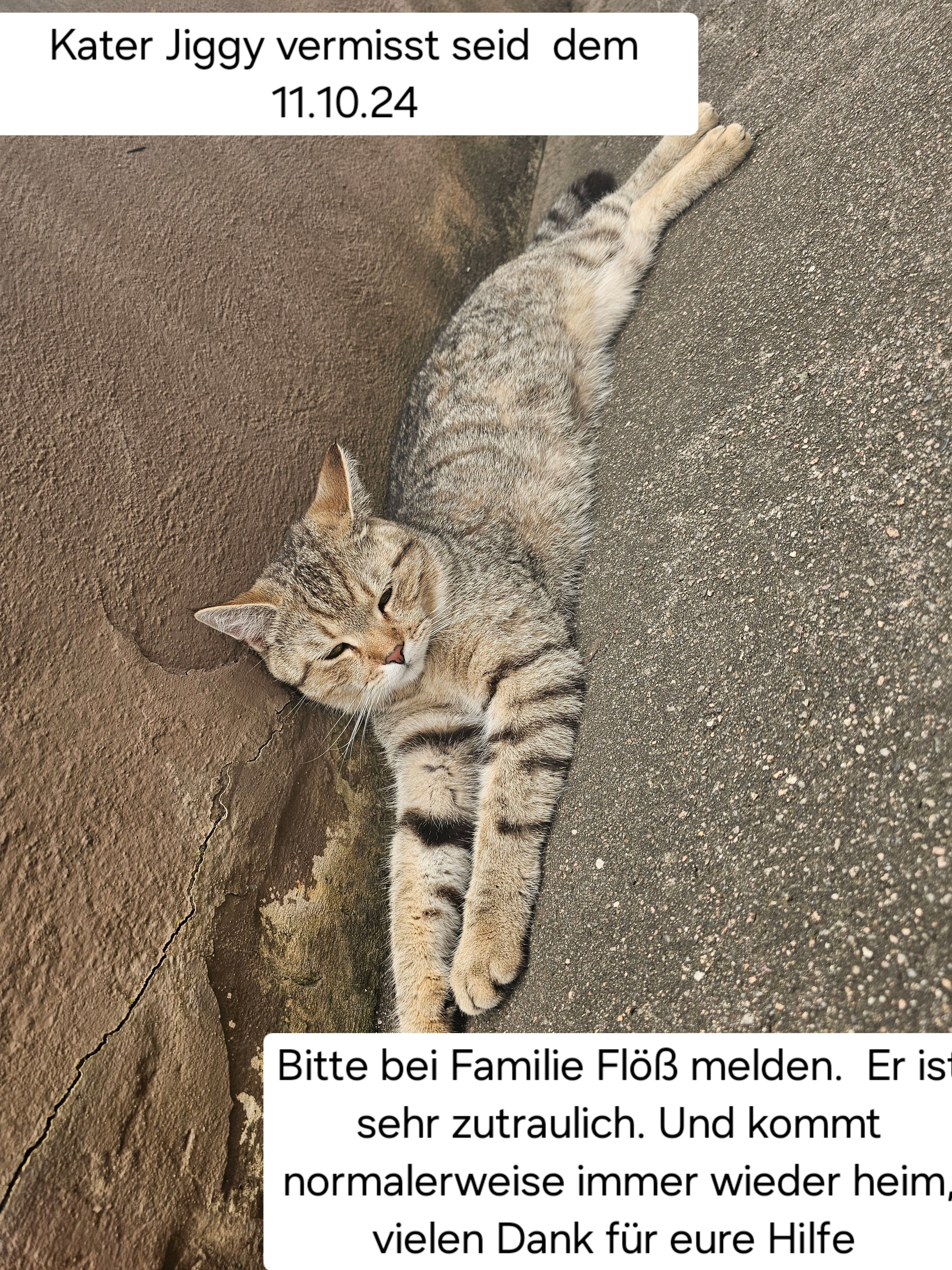 jiggy  - Hechtweg, Villingen-Schwenningen