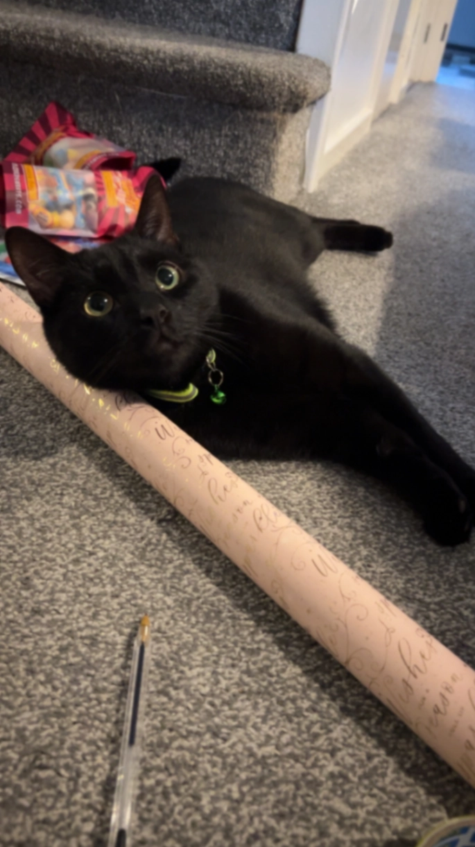 Shadow - Town Road, Sleaford