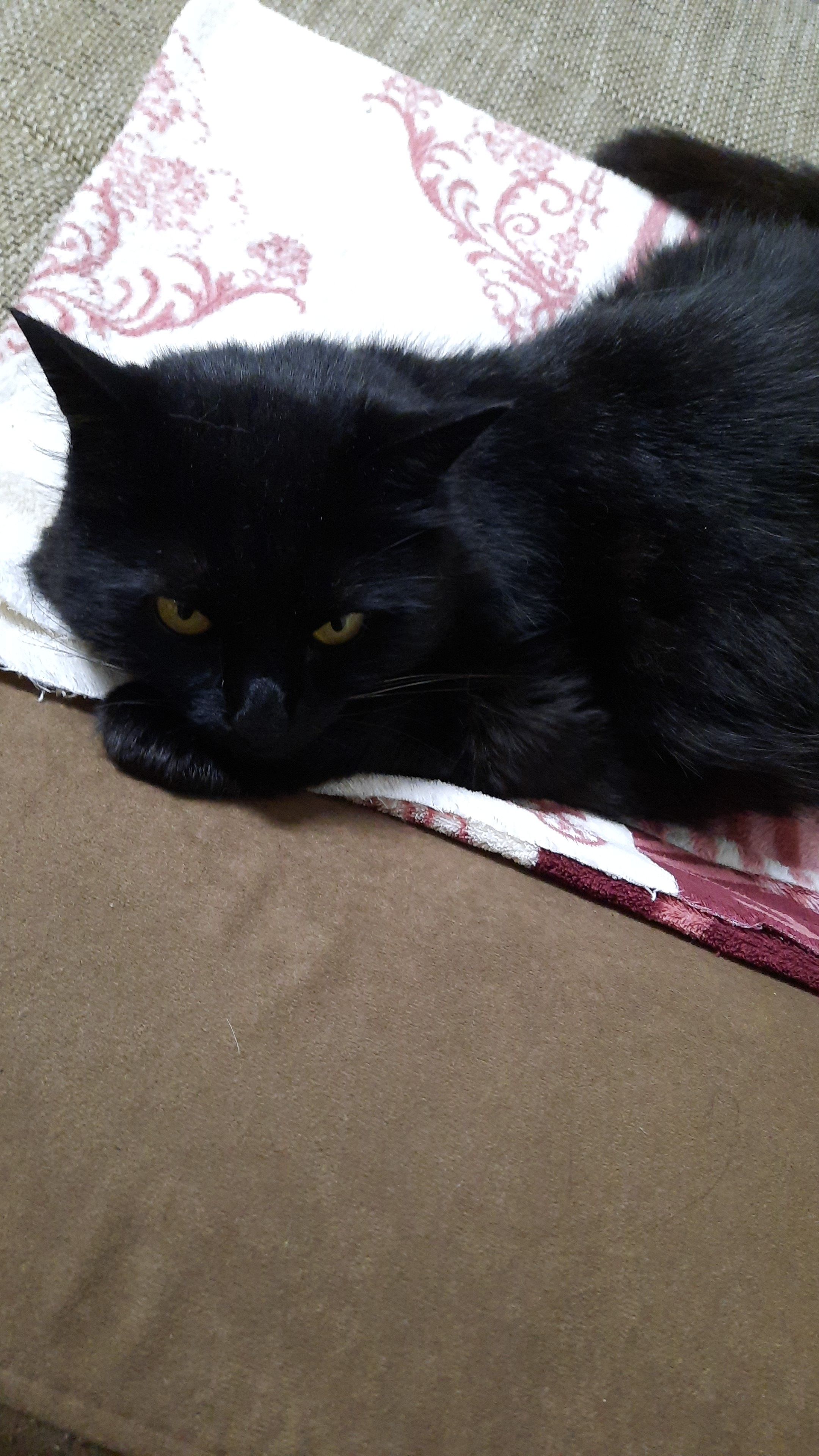 Lea - Mulfinger Straße, 84453Mühldorf 