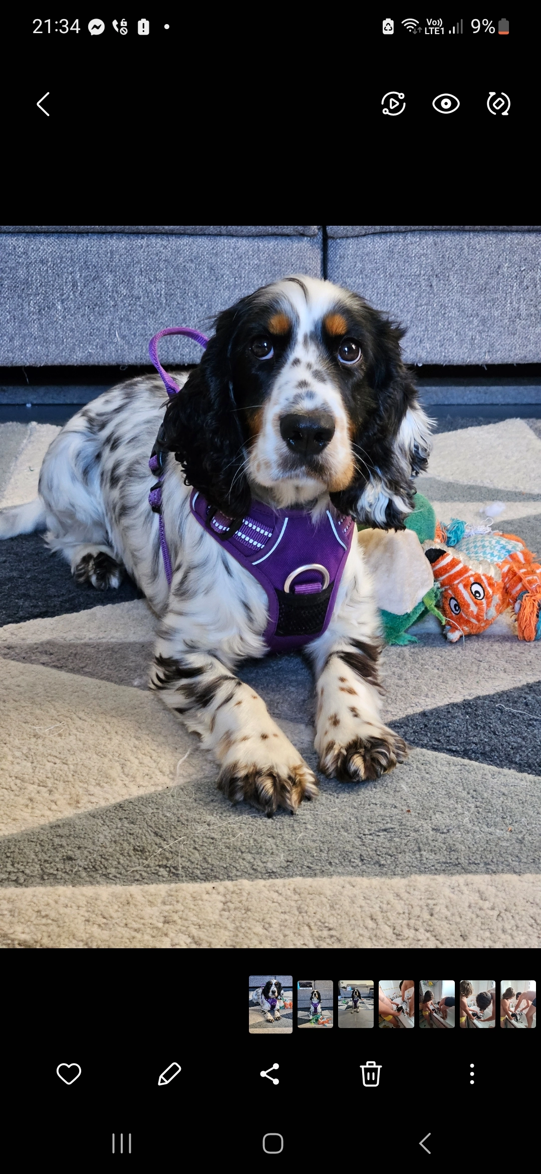 sansa - 35 Impasse Jean-François de La Pérouse, Ludres