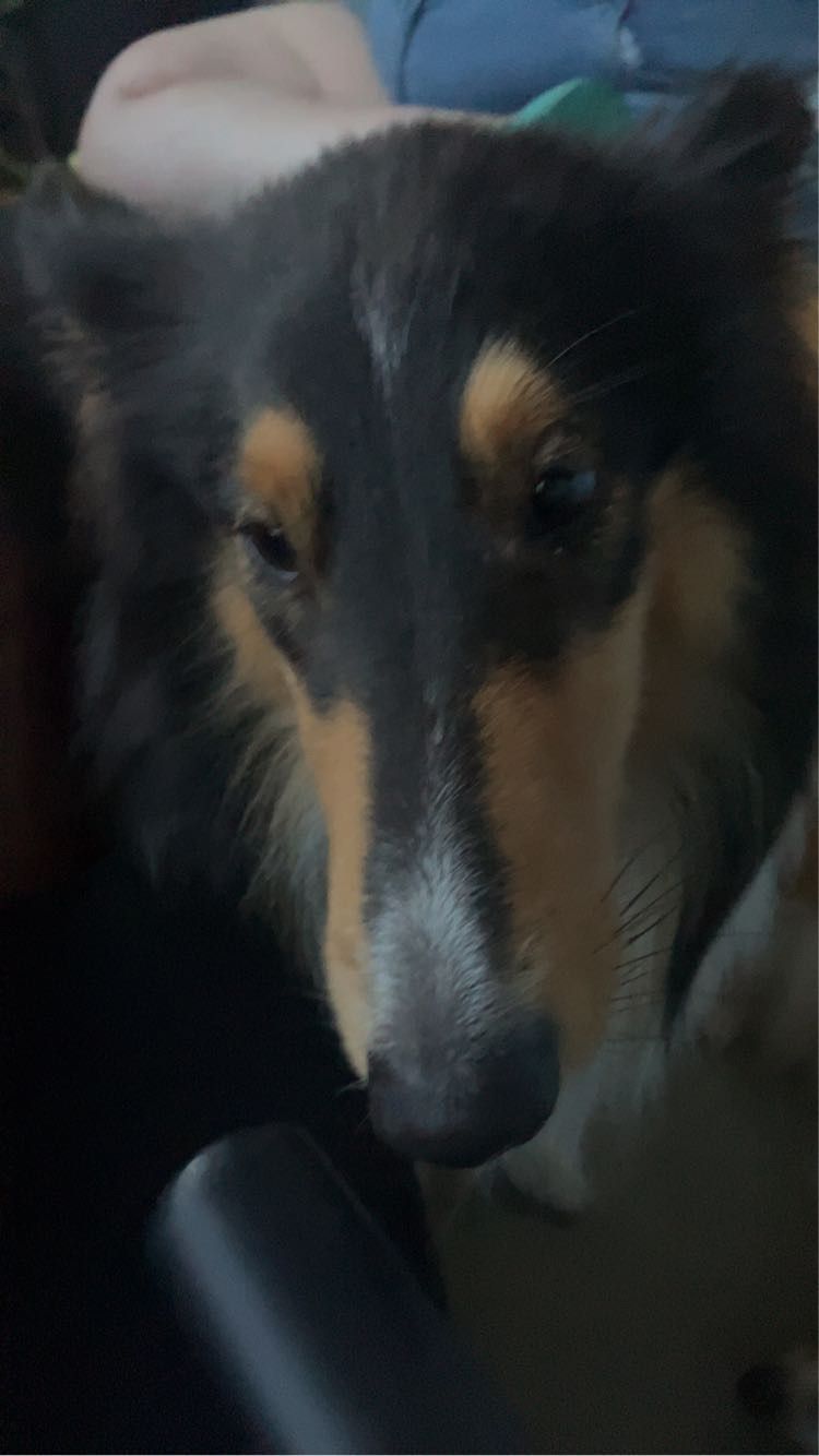 Amy - Weidingweg, Weiden in der Oberpfalz