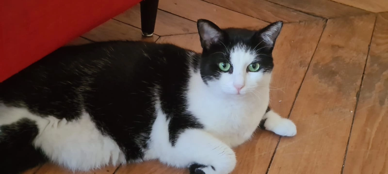 Bibi - Rue Louis Gayet, Saint-Genis-les-Ollières