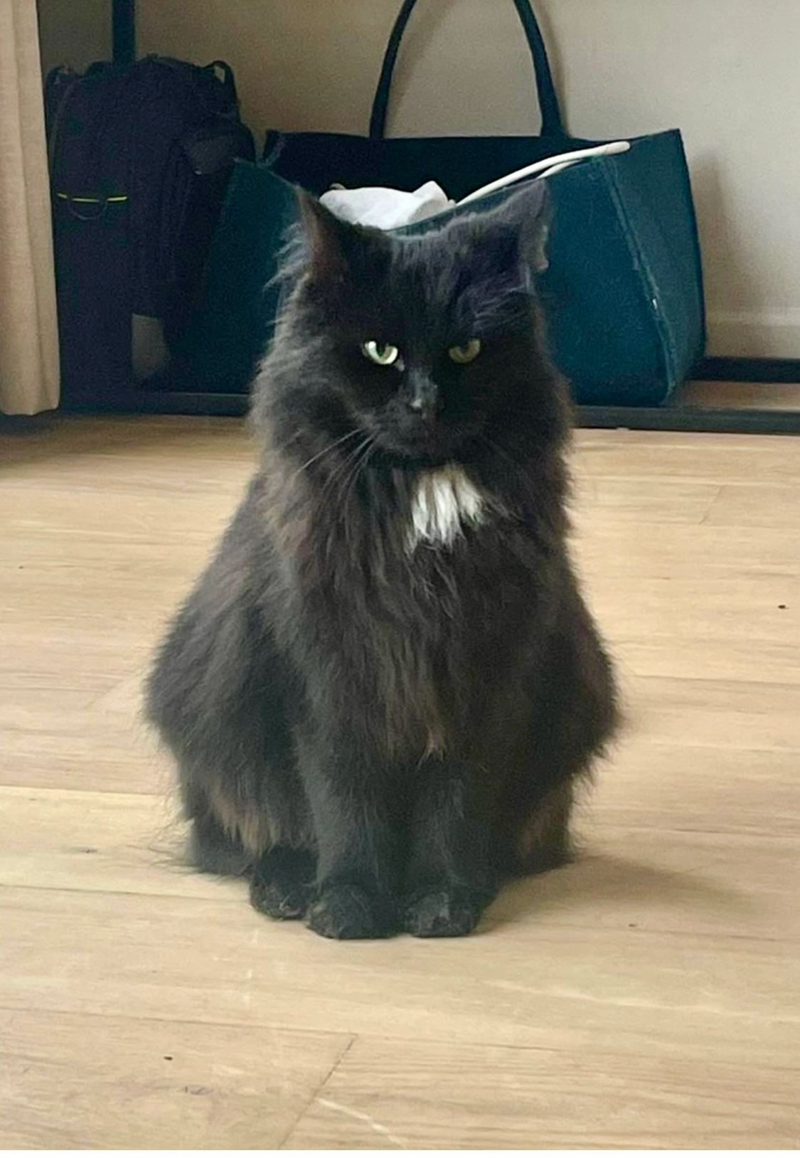 Balou - De Gavers, Kruisem