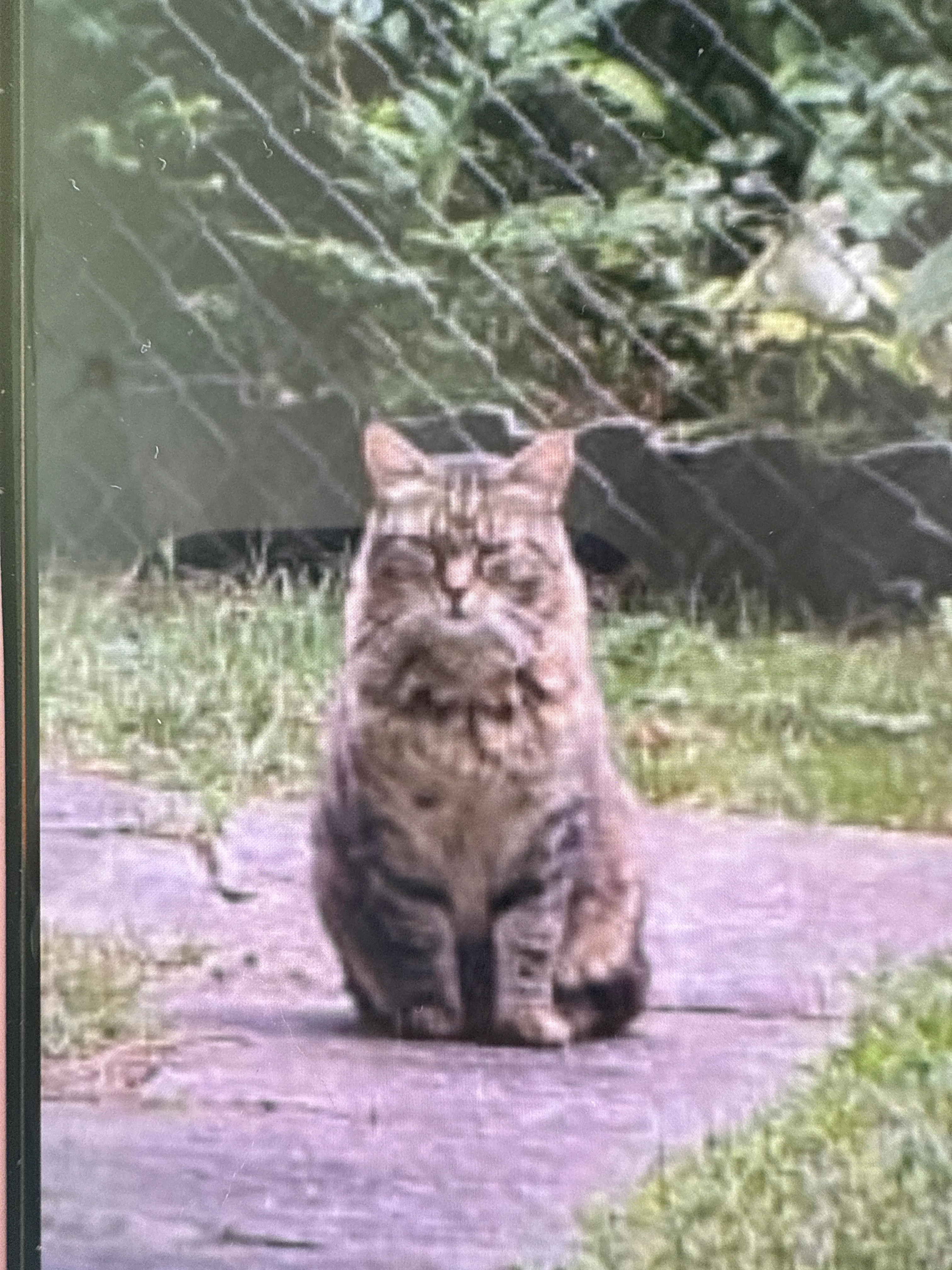 Simba - Oberwilerstrasse 39, Bottmingen