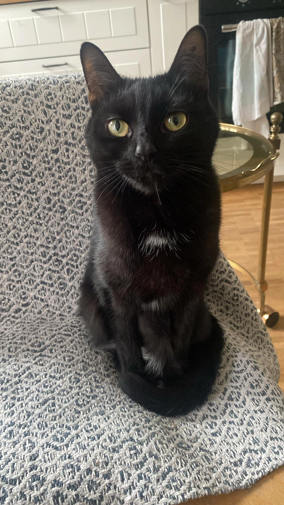 Avi - Schneckenburgerstraße, München