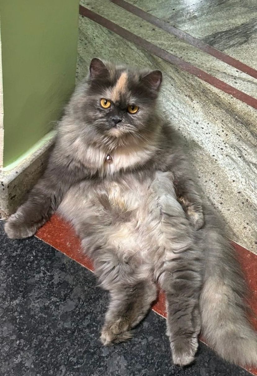 Luna - 3rd Main Road, Bengaluru