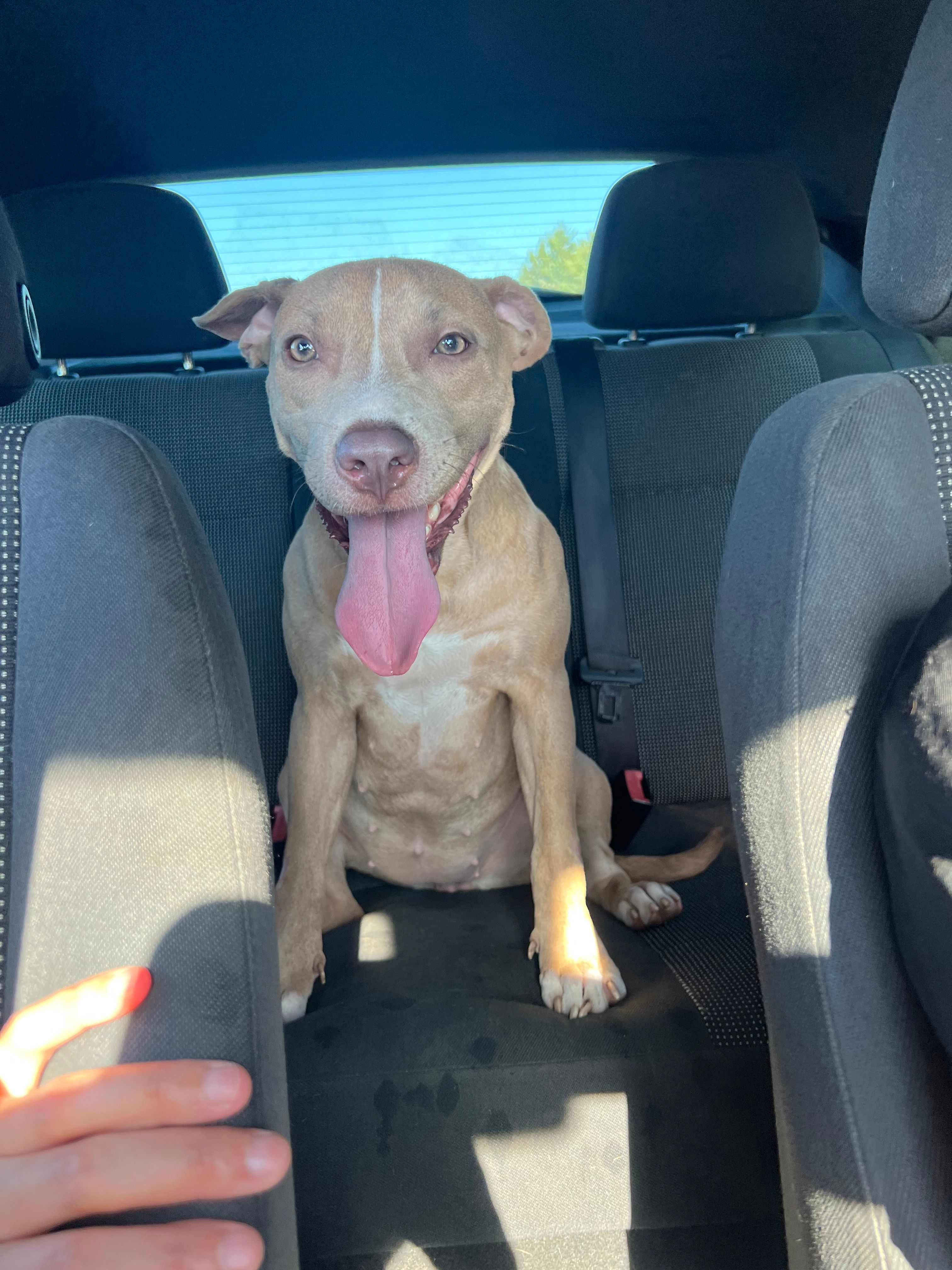 Luna - Carretera De Pozuelo A Majadahonda, Pozuelo de Alarcón