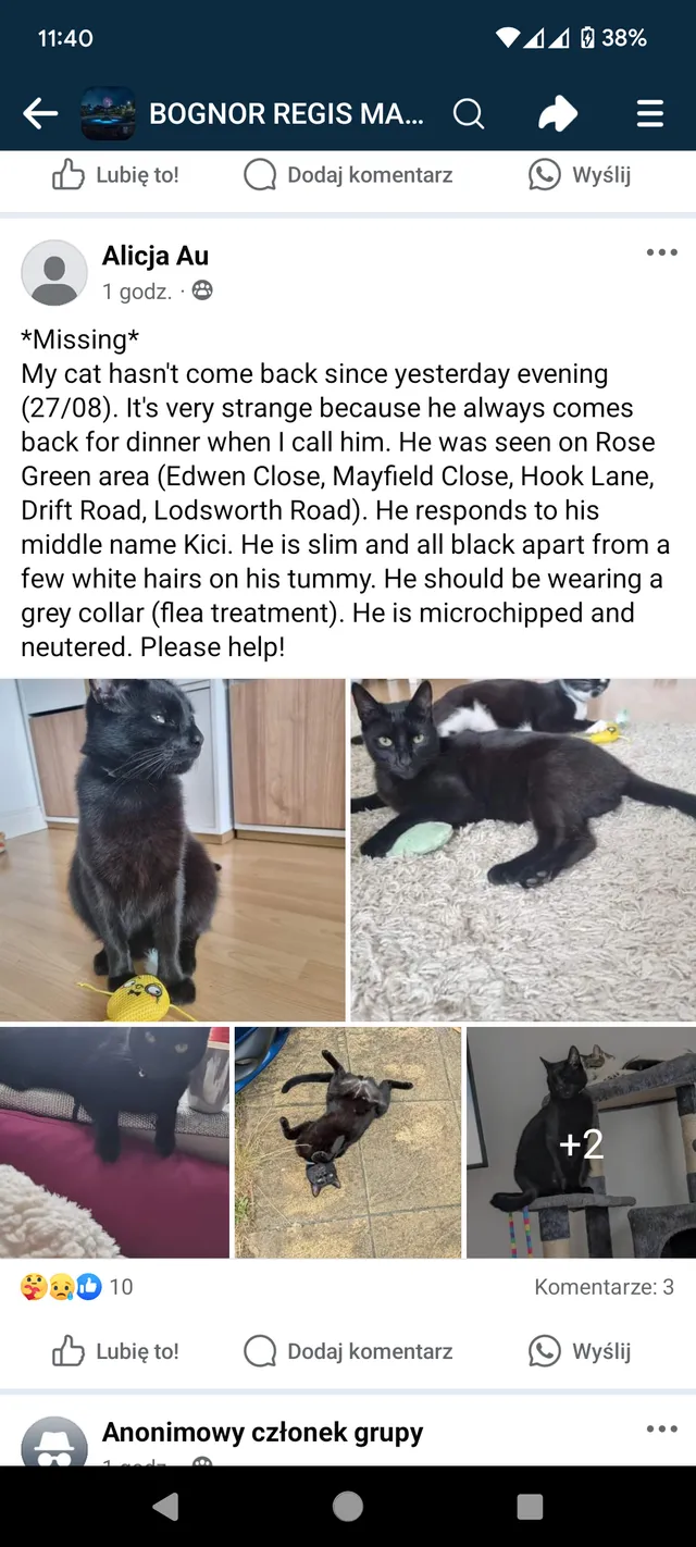 Bruno , Kici - Edwen Close, Bognor Regis