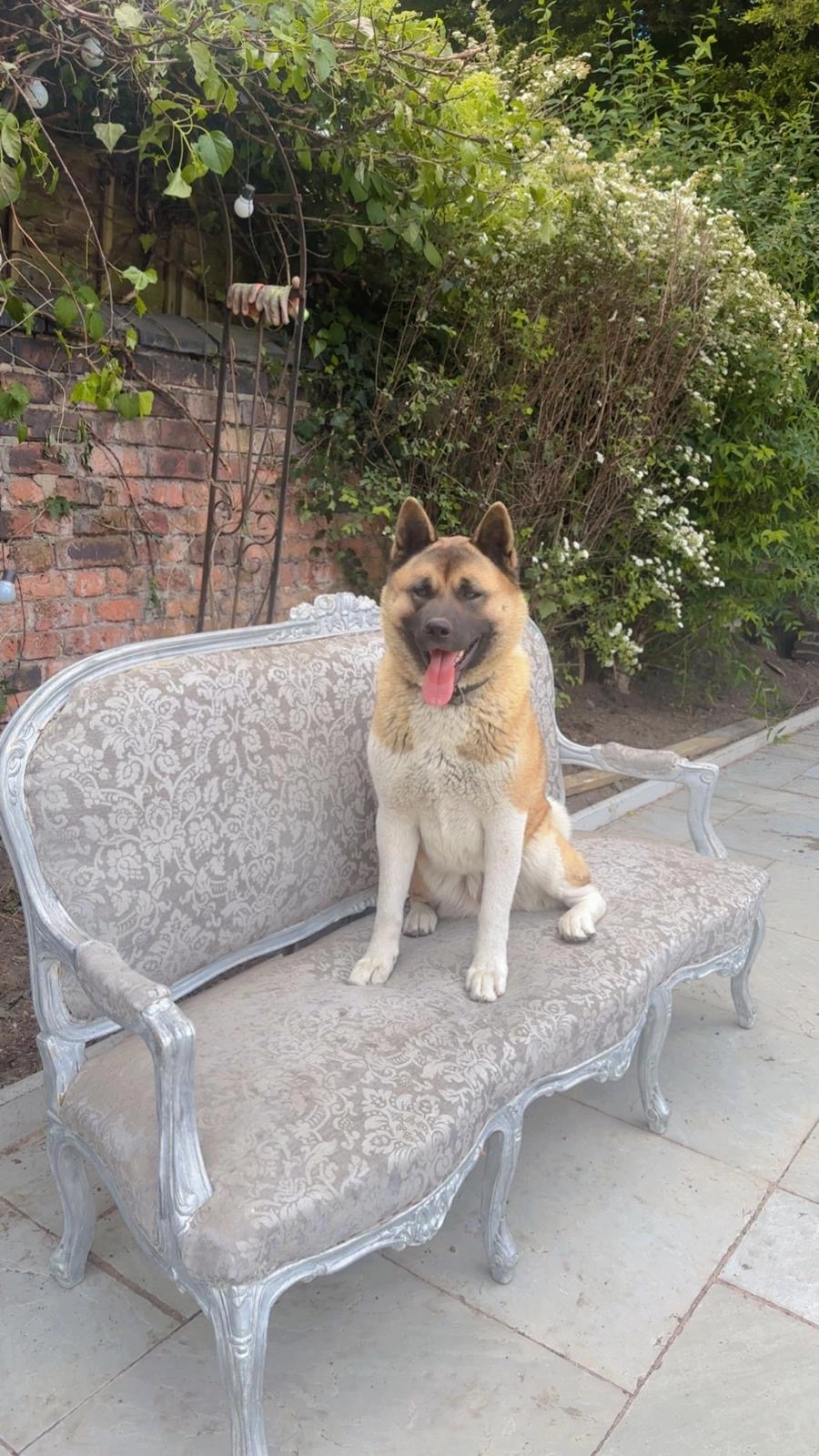 Zelda & Bruno  - Somerford Place, Willenhall