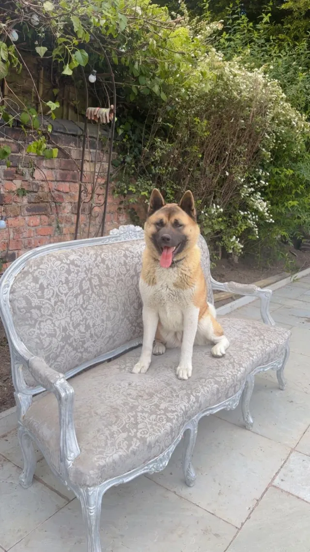 Zelda & Bruno  - Somerford Place, Willenhall