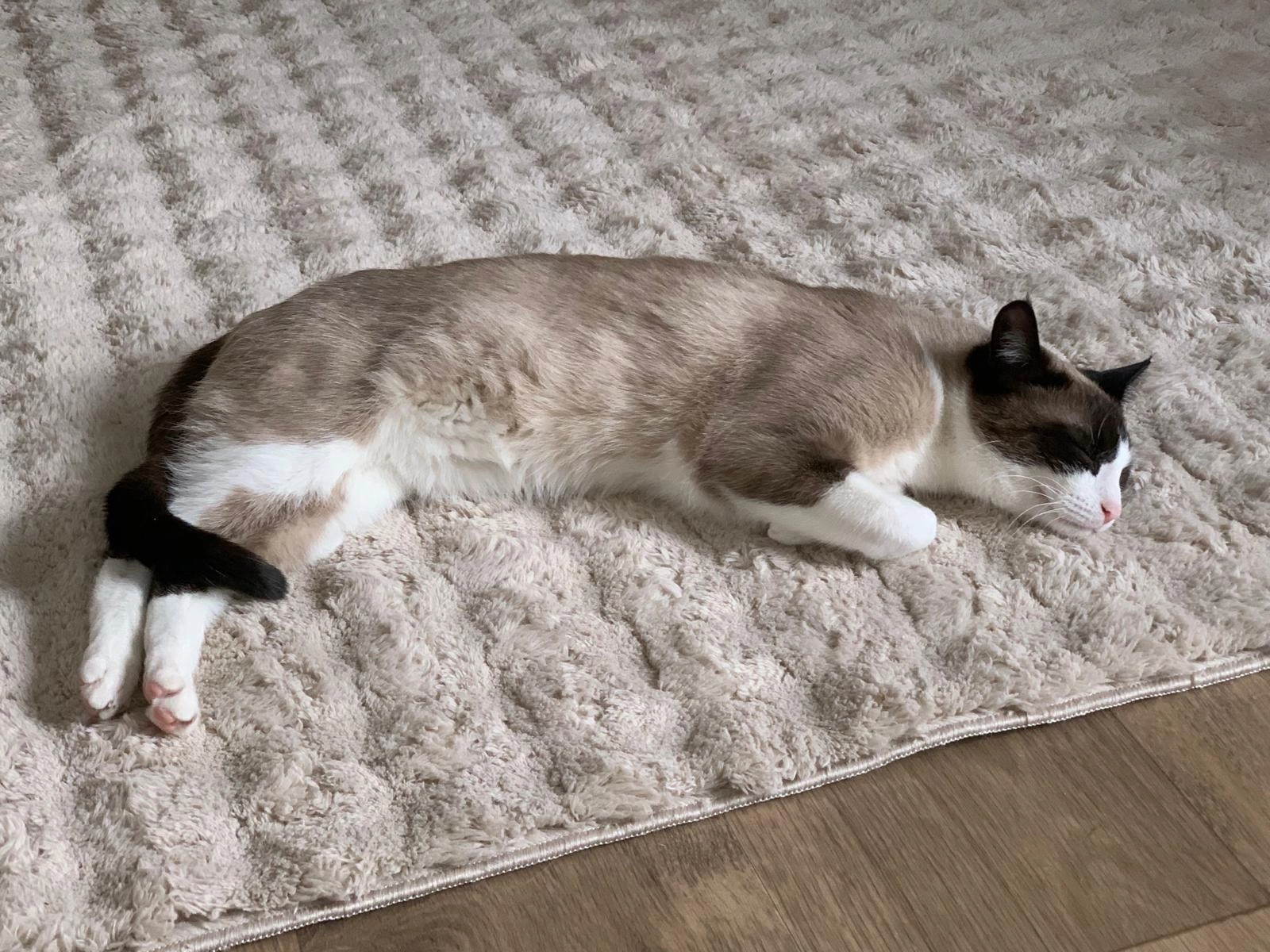 Vick - 17 Place du Marché, Concarneau