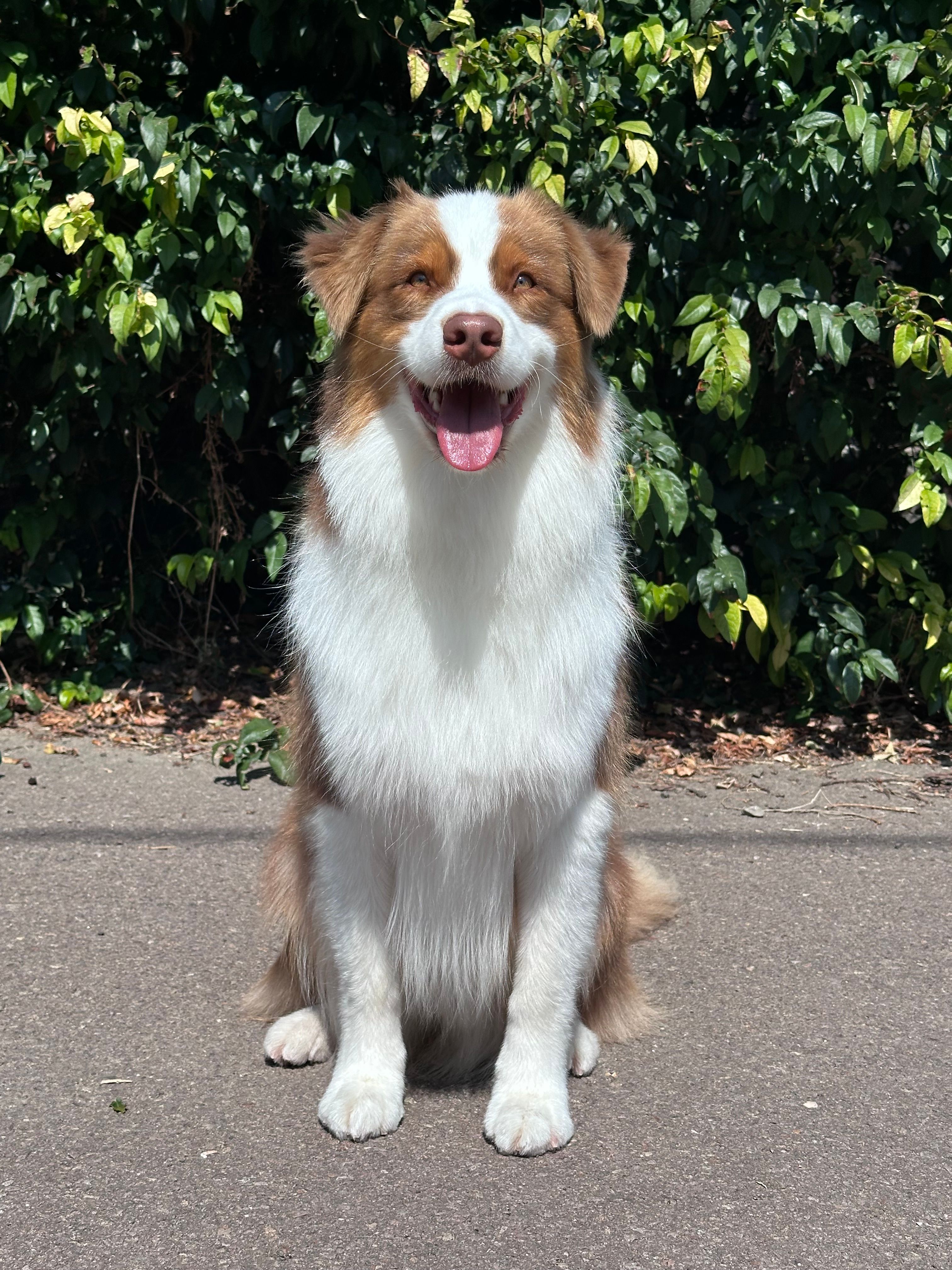 Ori - Venloseweg, Grubbenvorst