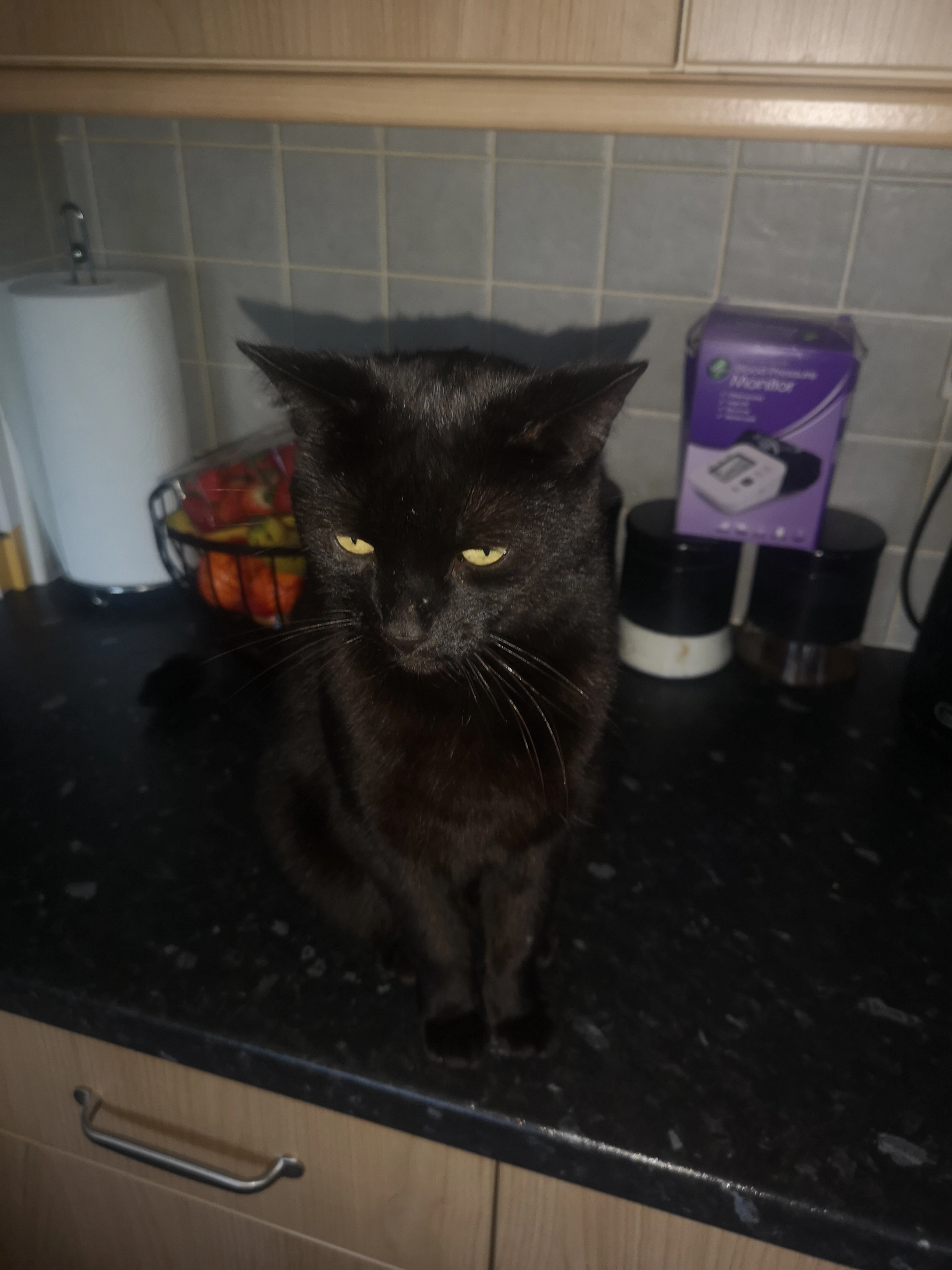 Levi - Fraser Street, Cleland