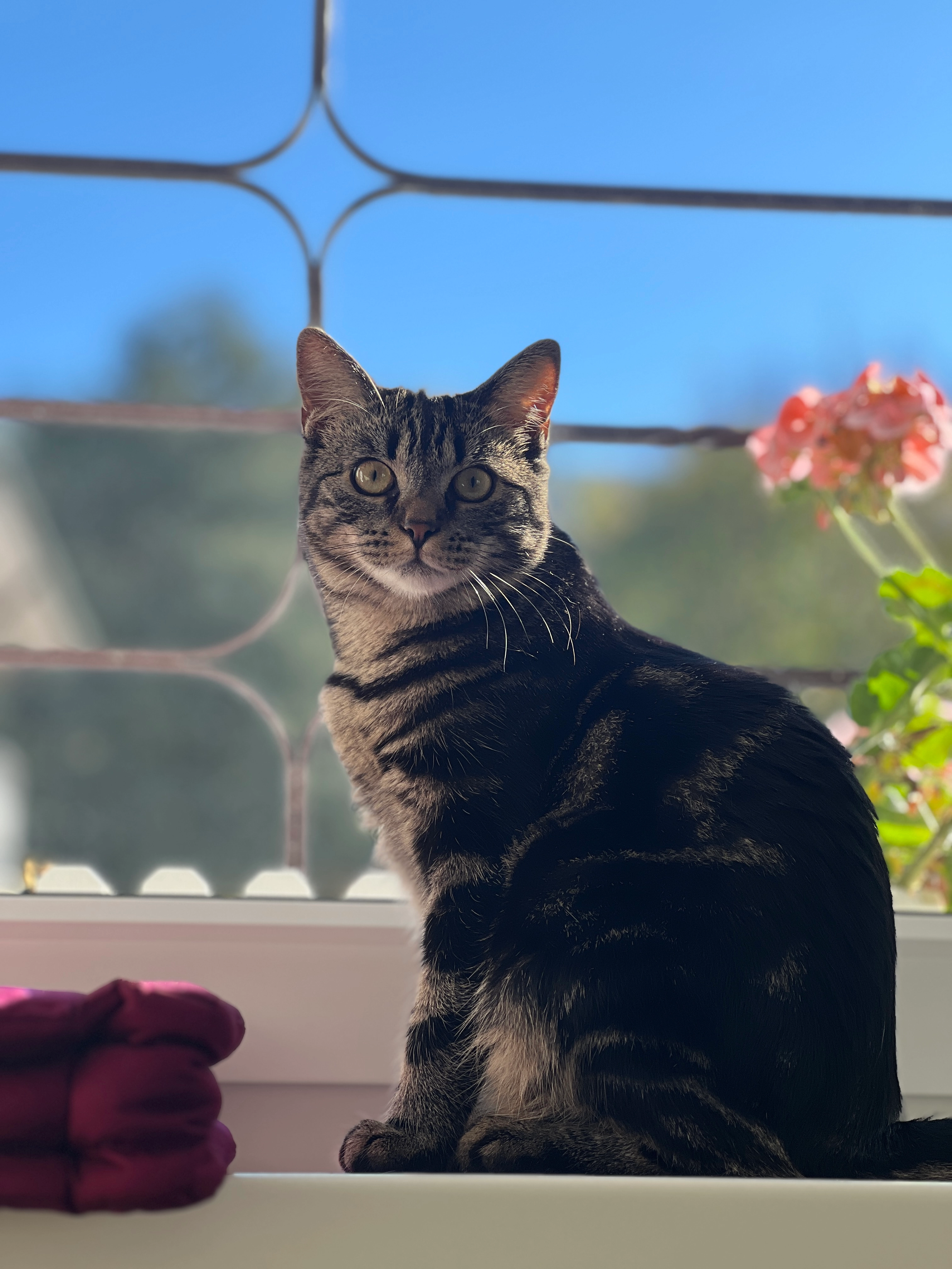 Solana - Bleichweg 40, Bad Herrenalb