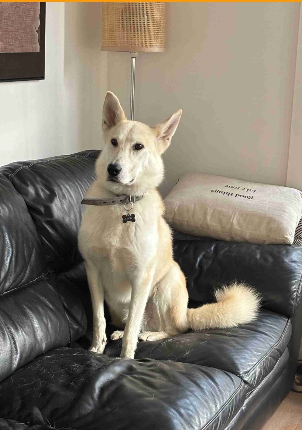 Leon - Sint-Amandsberg, Gent