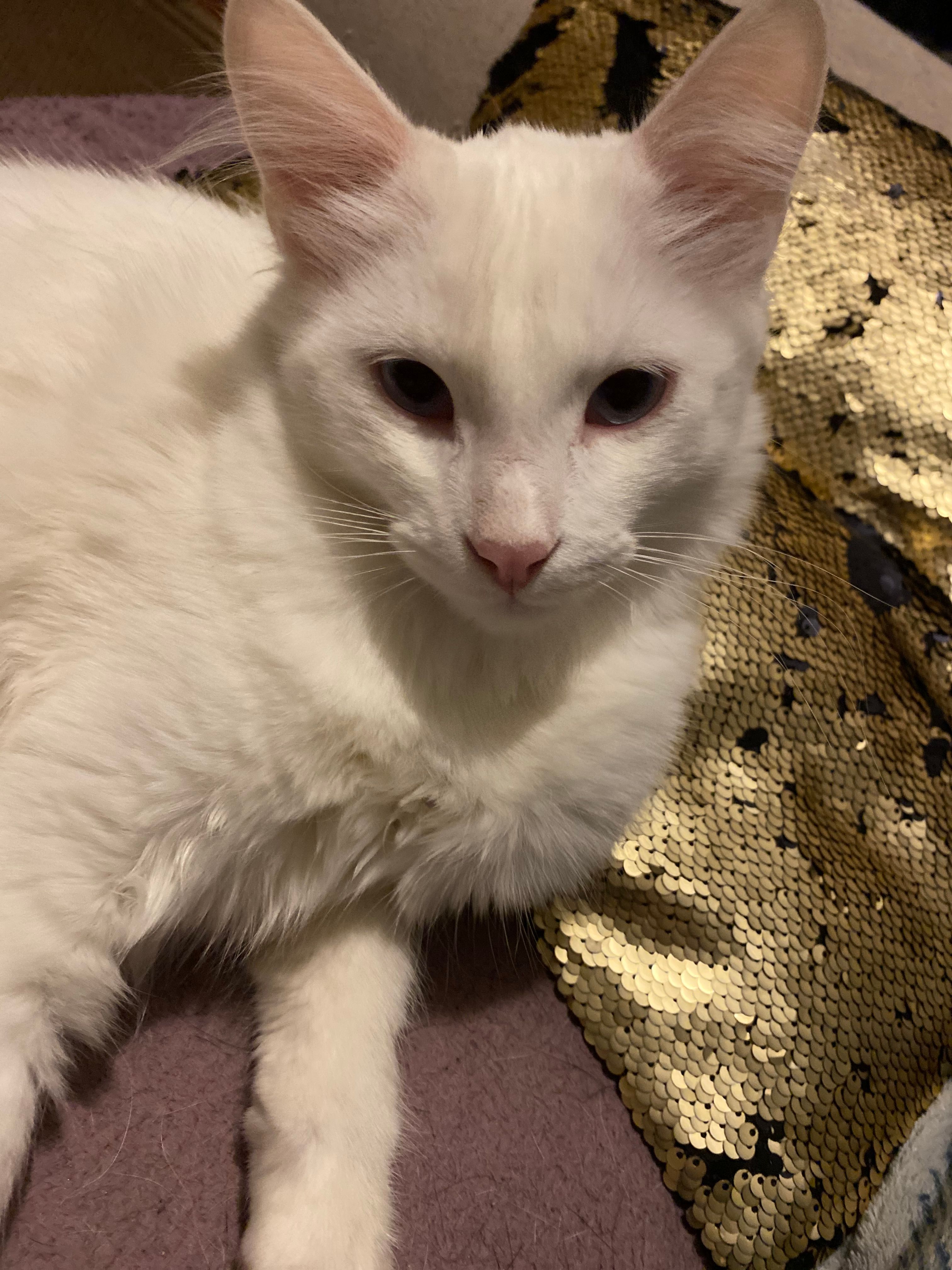 Winni - 7 Rue Jacques Martel, Cosne-Cours-sur-Loire