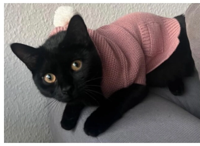 Müezza - Gustav-Werner-Straße, Metzingen