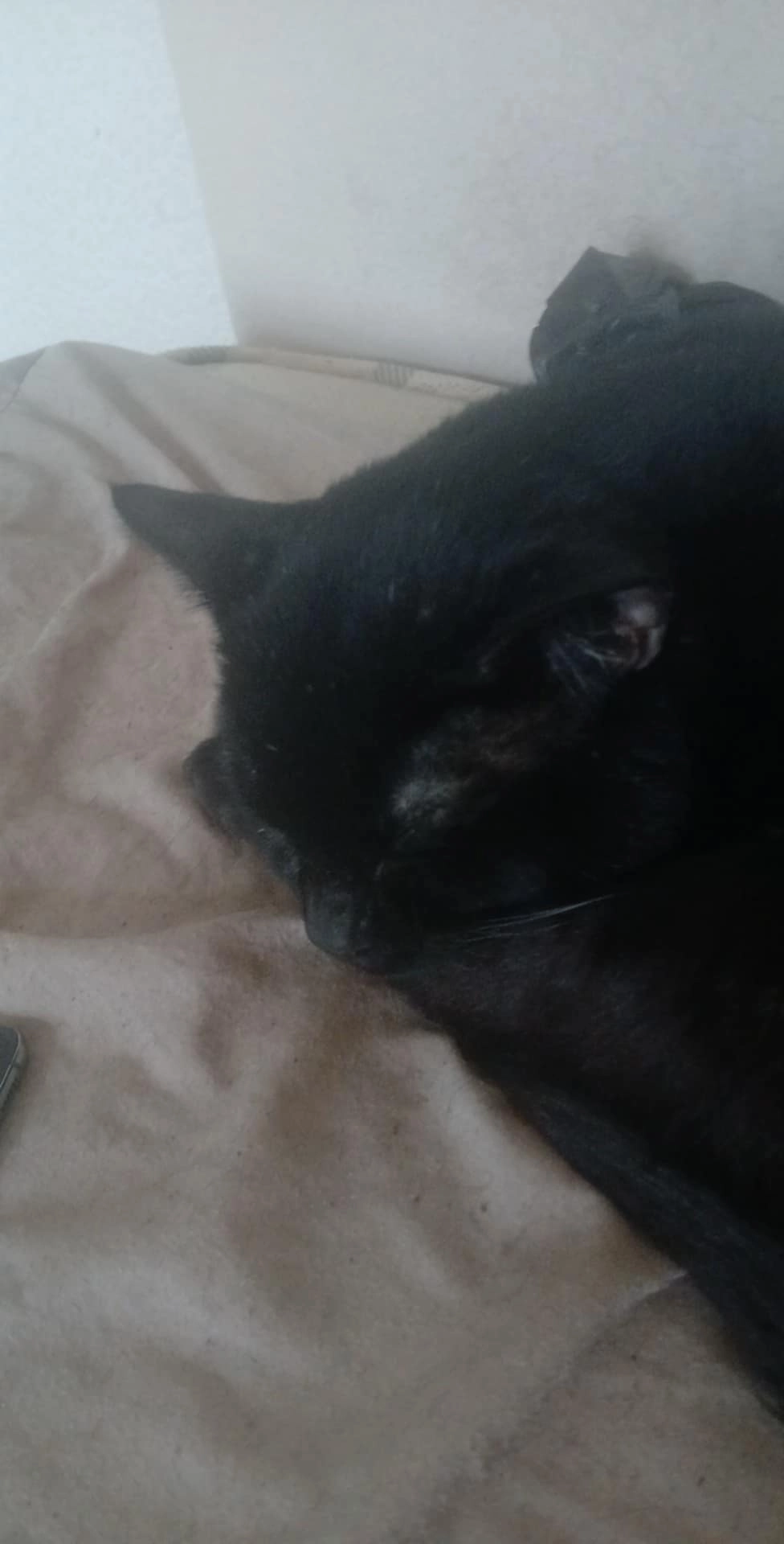 Piki - Weston Coyney Road, Stoke-on-Trent