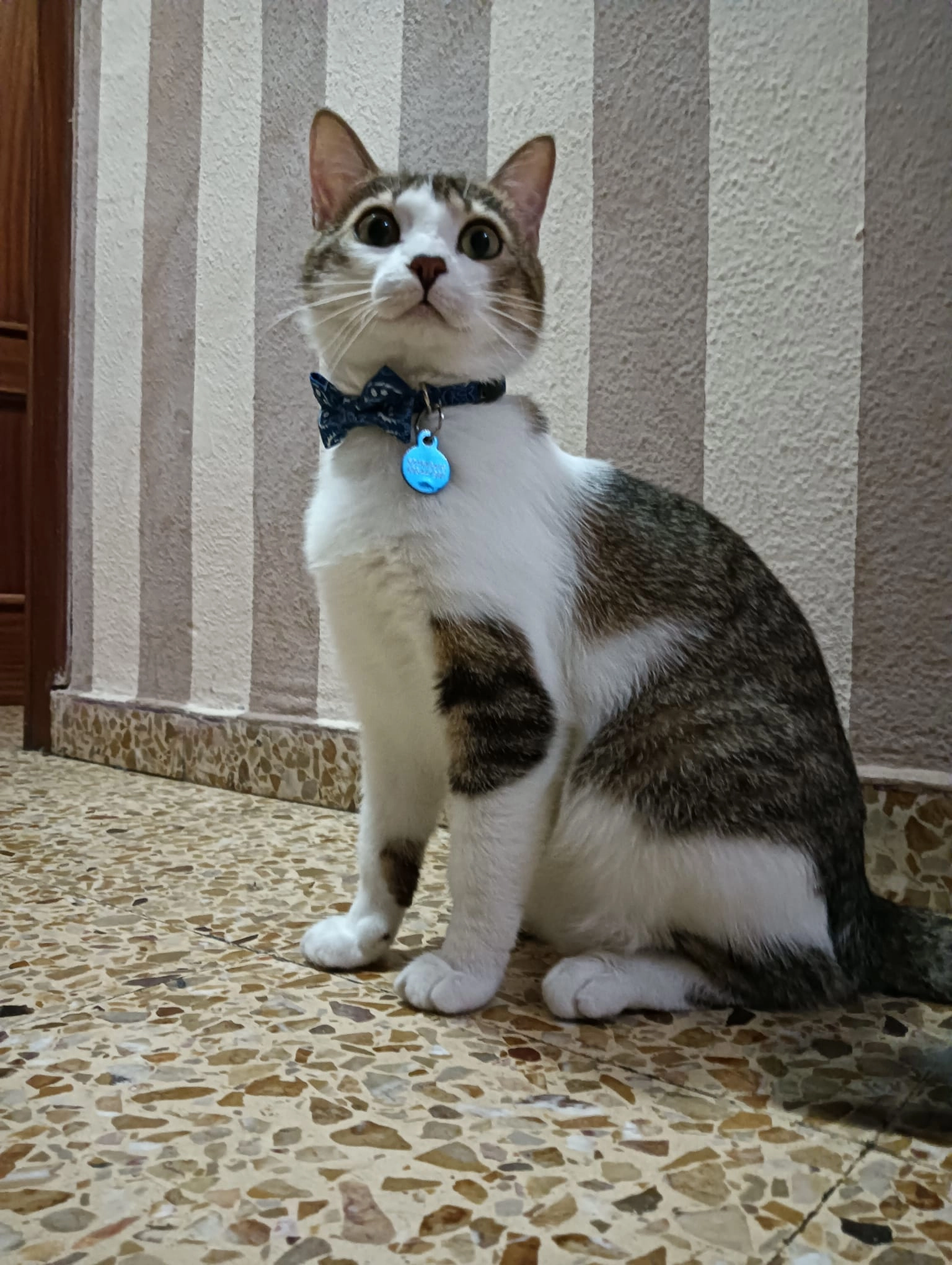 Rider - Calle Jean Paúl Sartre, Zaragoza