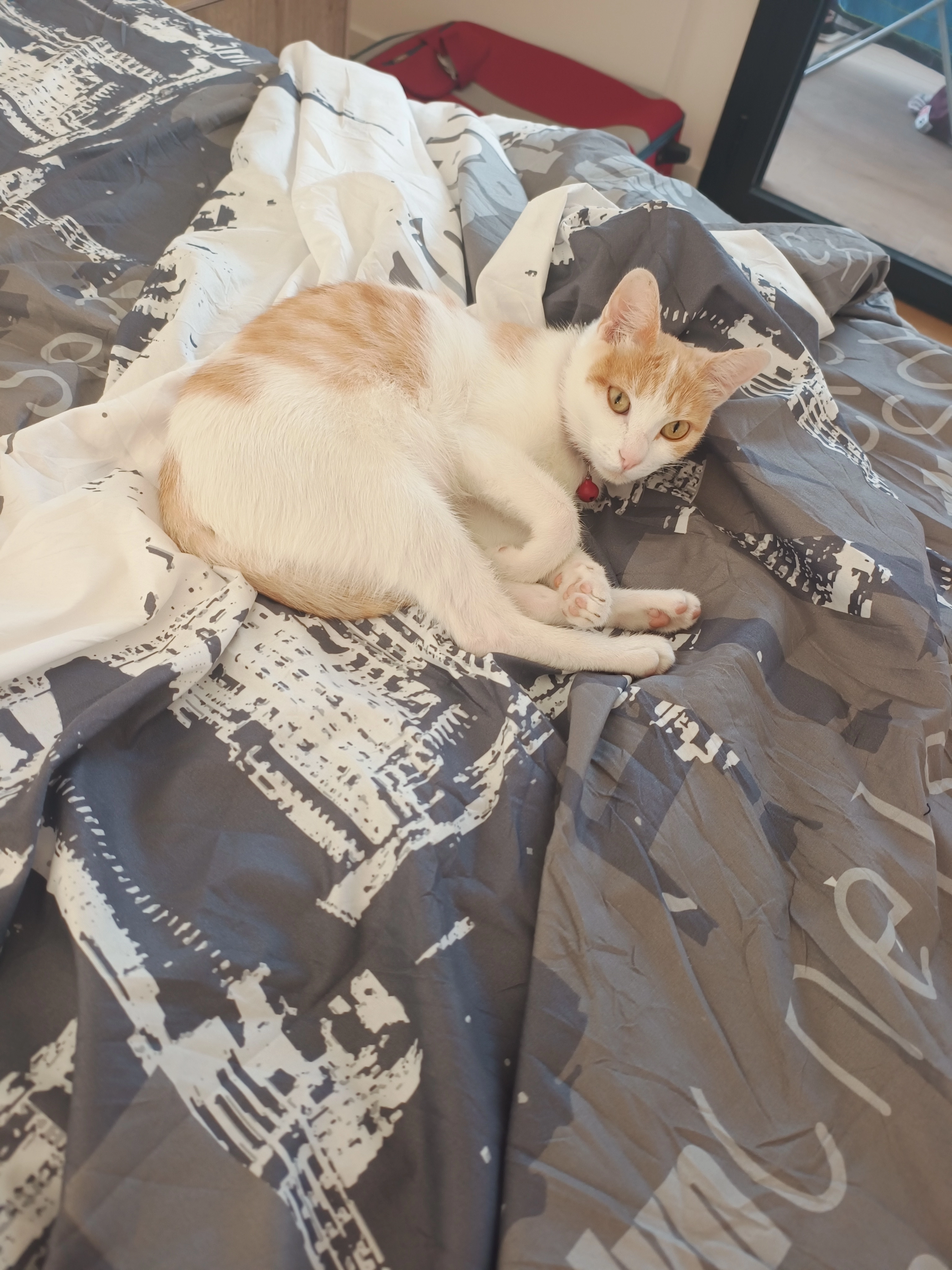 Betty  - Calle del Cobalto, Hospitalet de Llobregat