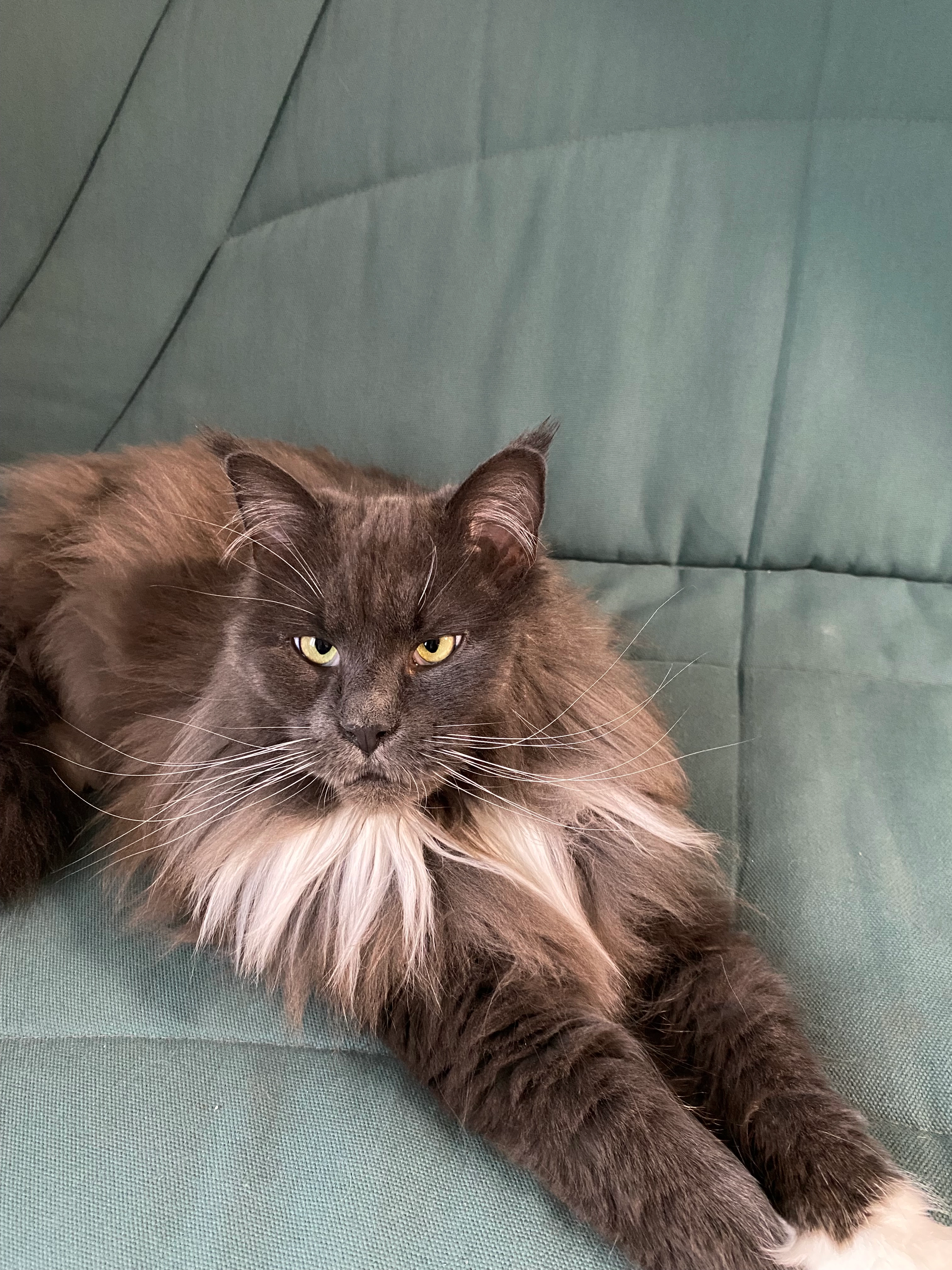 Opale - Route De Montpon, Saint-Barthélemy-de-Bellegarde